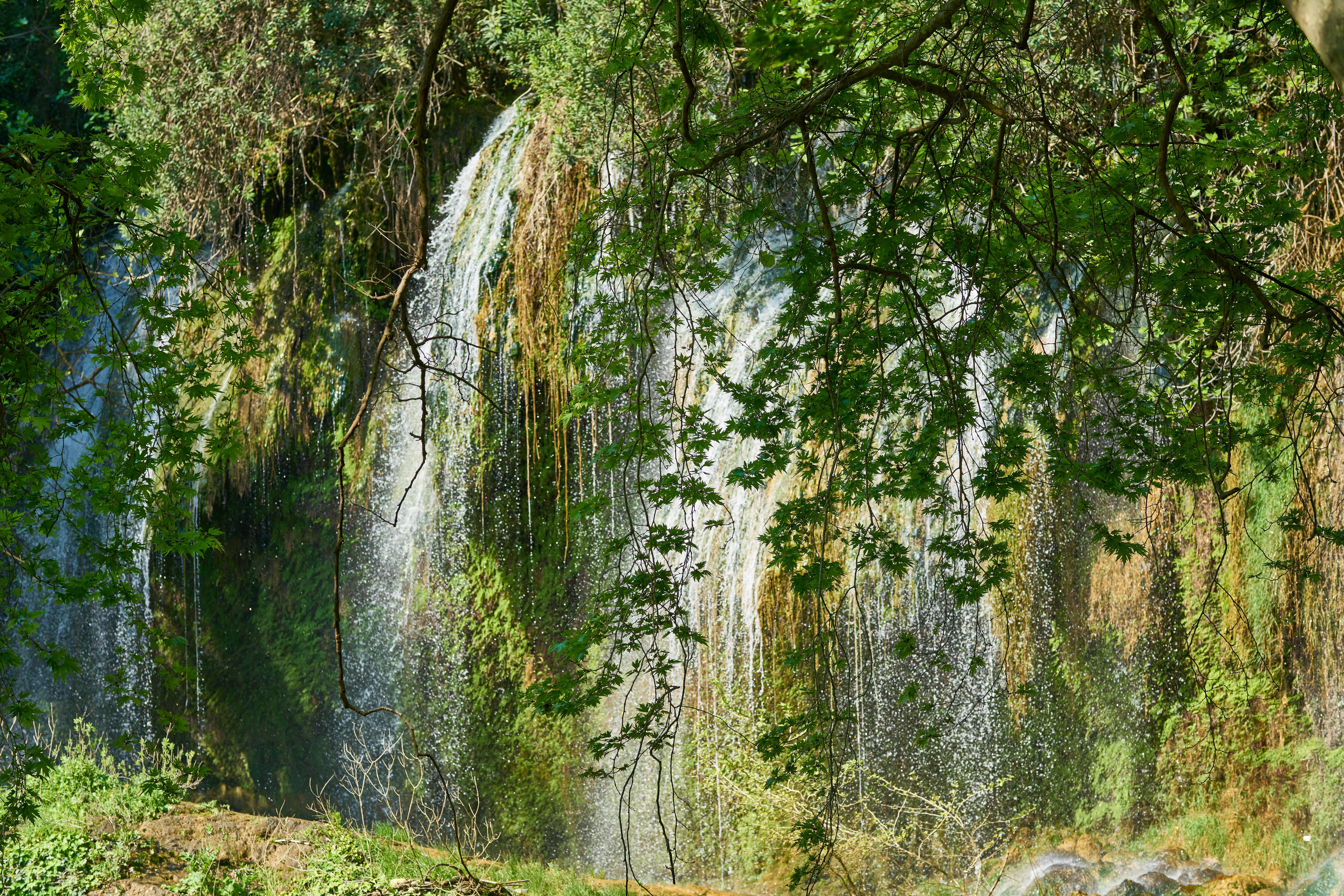day, season, beautiful, flowing water, flowing, water, spring, mountains, dd, power in nature, tree, scenics - nature, plant, tranquil scene, landscape, HD Wallpaper