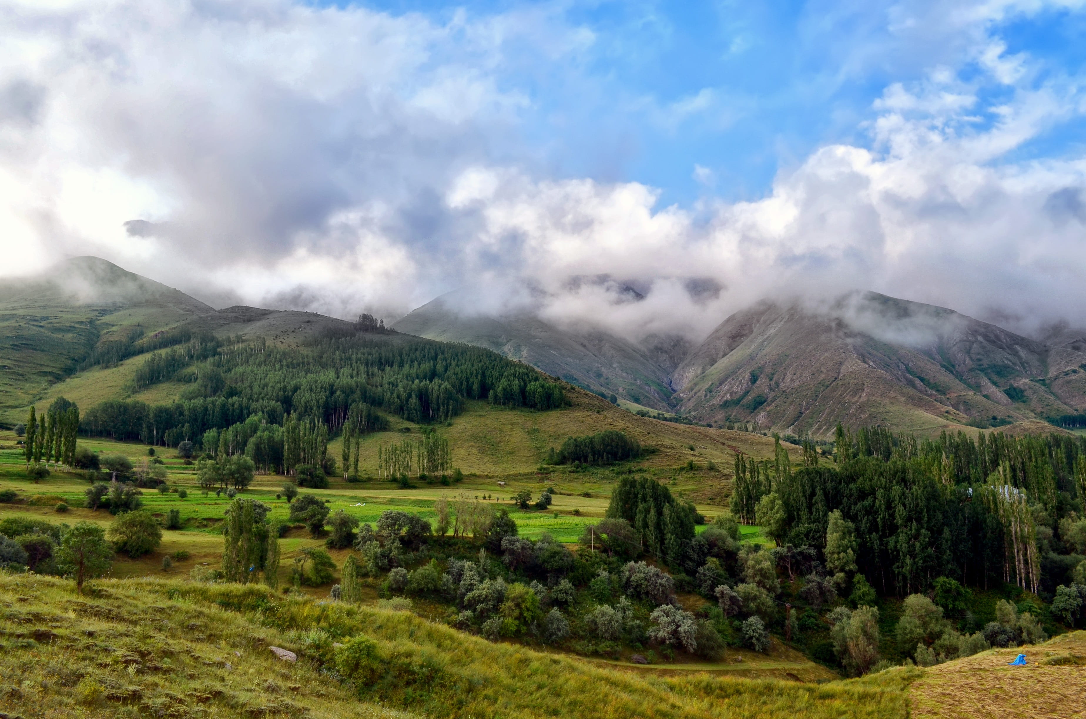 photo, atmosphere, grassland, pine tree, non-urban scene, outdoor, nature, lake, season, flowers, holiday, mountains, turkey, mountain peak, unbelievable, HD Wallpaper
