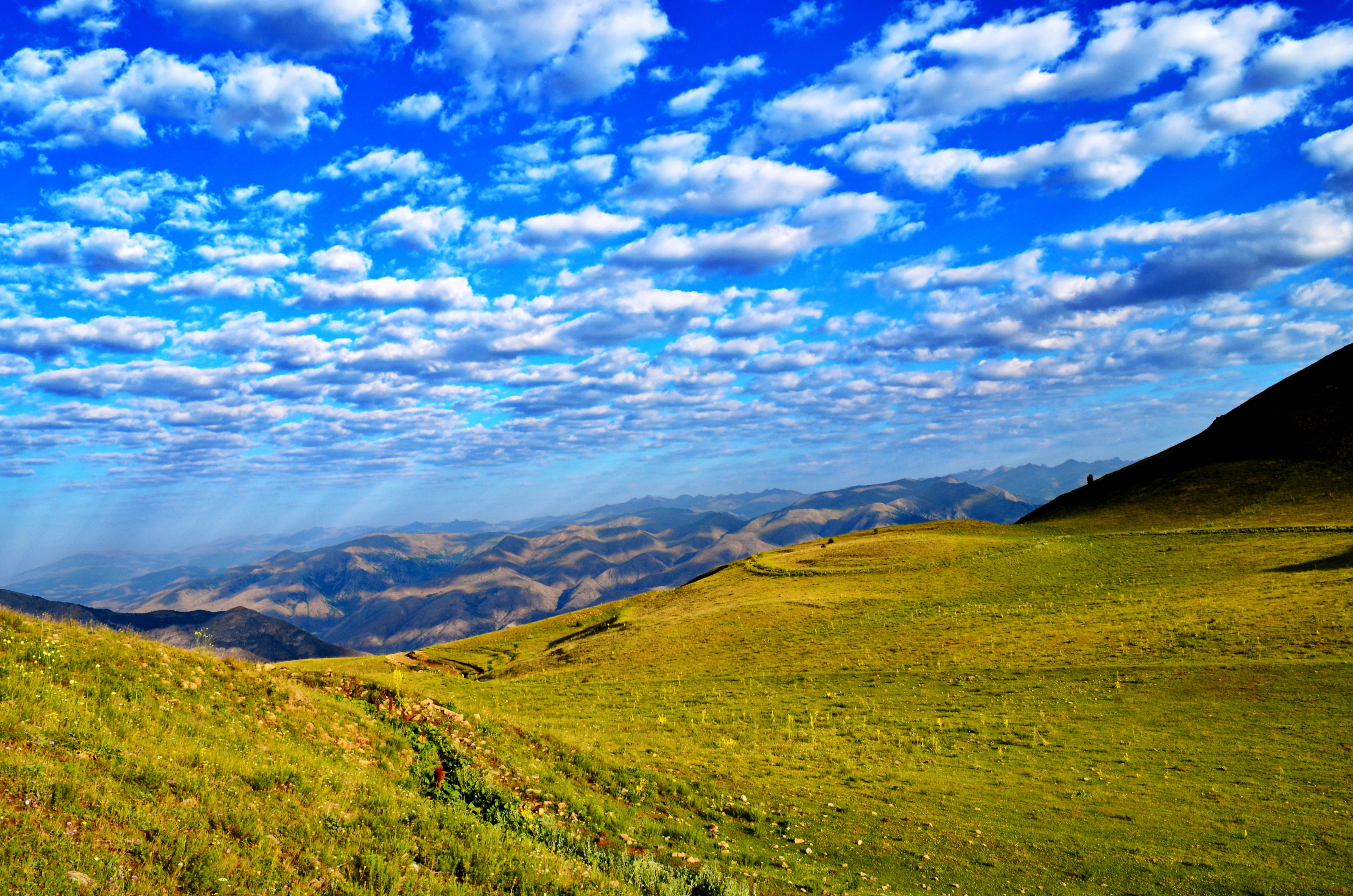 highland, cloudy, mountain range, landscape, tranquility, season, blue, green color, photography, photo, daytime, cloud - sky, great, rize, plant, outdoors, HD Wallpaper