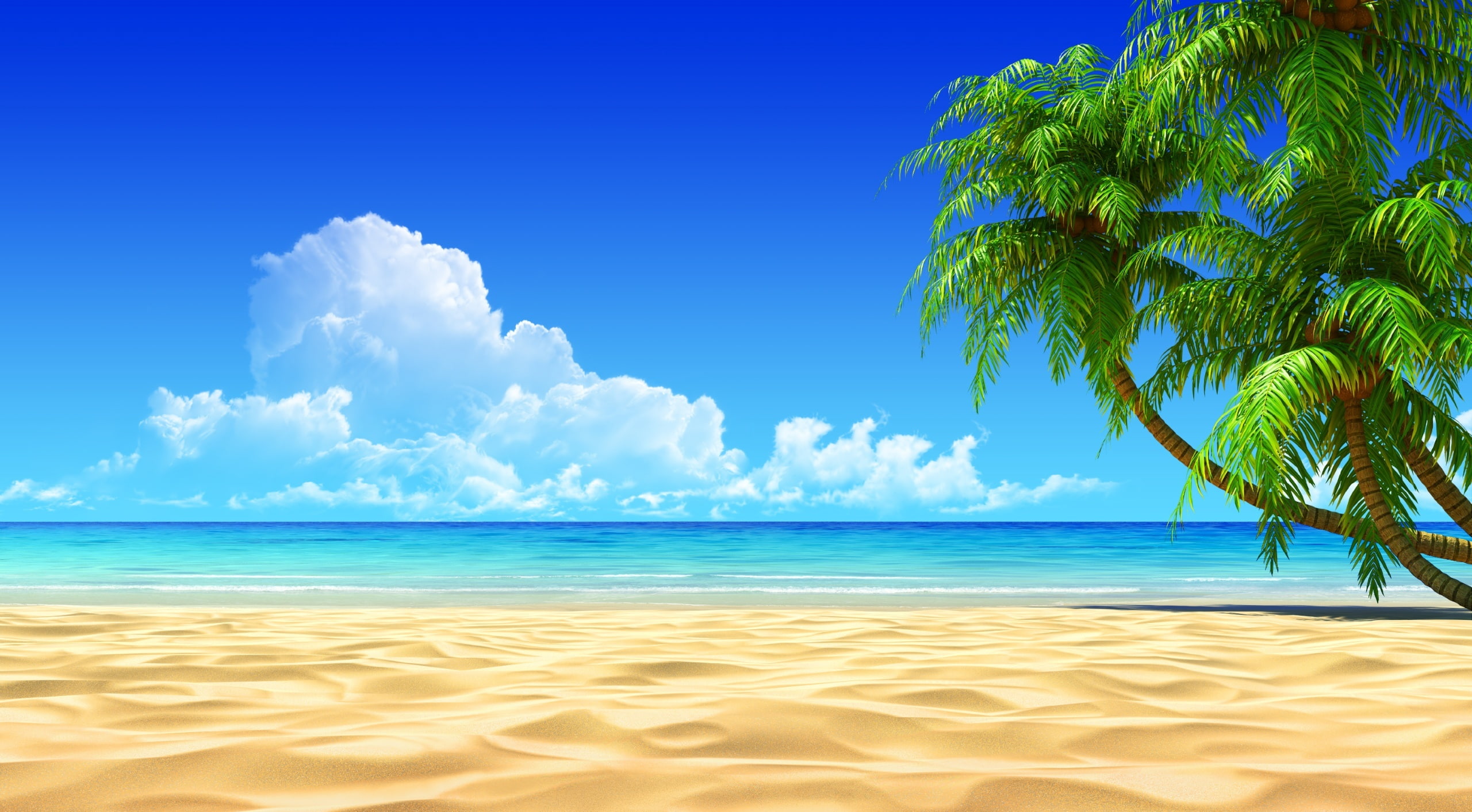 holiday, Seasons, cloud - sky, land, turquoise colored, beauty in nature, scenics - nature, sky, beach, tropical tree, tranquility, breath, taking, 2K, HD Wallpaper