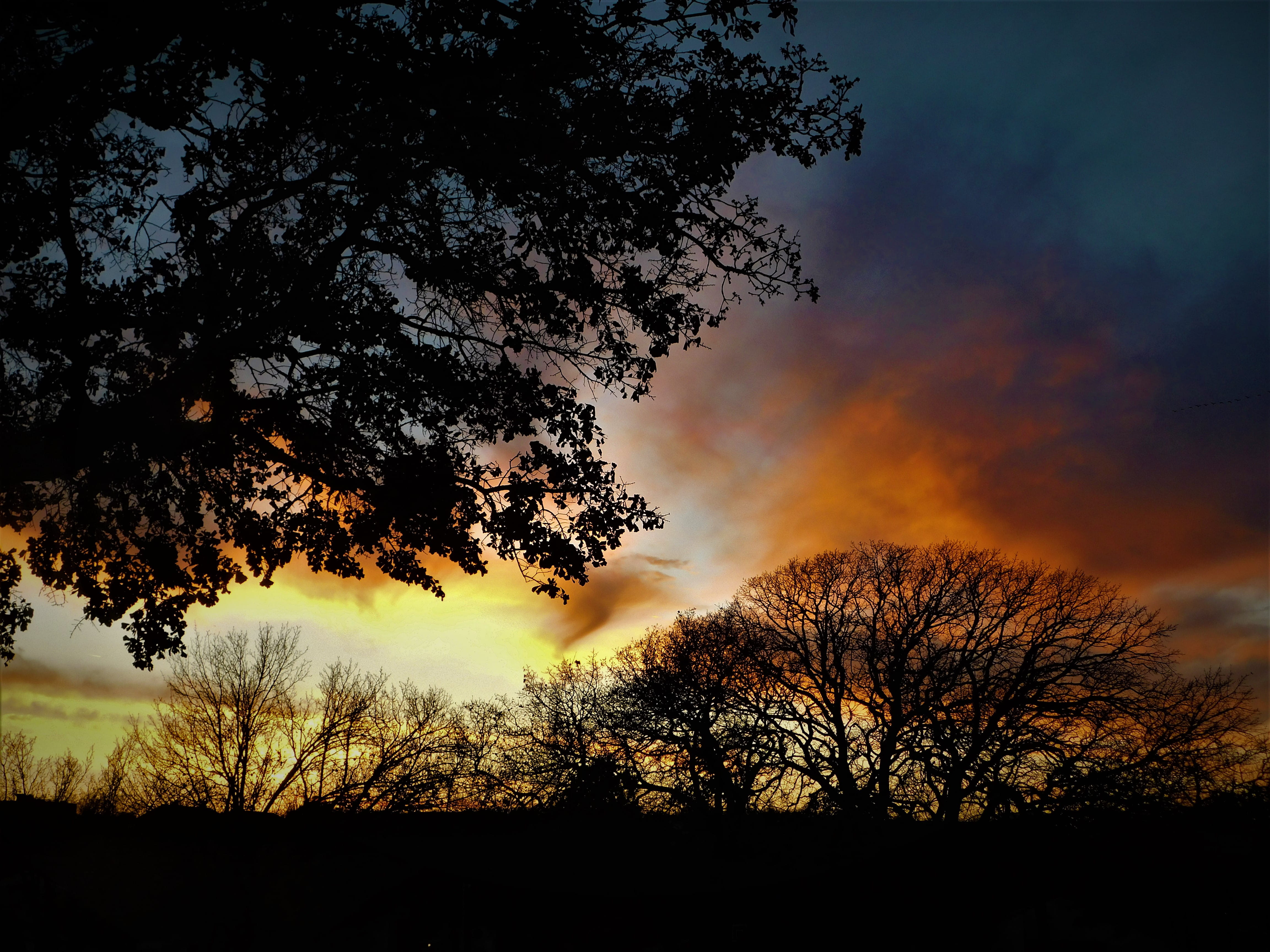 united states, cloud - sky, breath, outdoors, color, sunset, nature, sky, plant, trees, oklahoma city, beauty in nature, exposure, branch, non-urban scene, HD Wallpaper