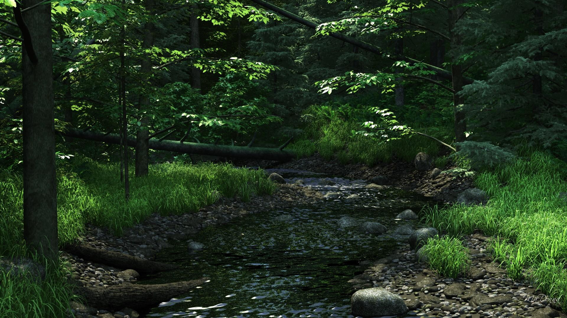 forest, rocks, creek, flowing, green, falls, grass, woods, tree, 3d and abstract, trees, spring, 1080P, HD Wallpaper
