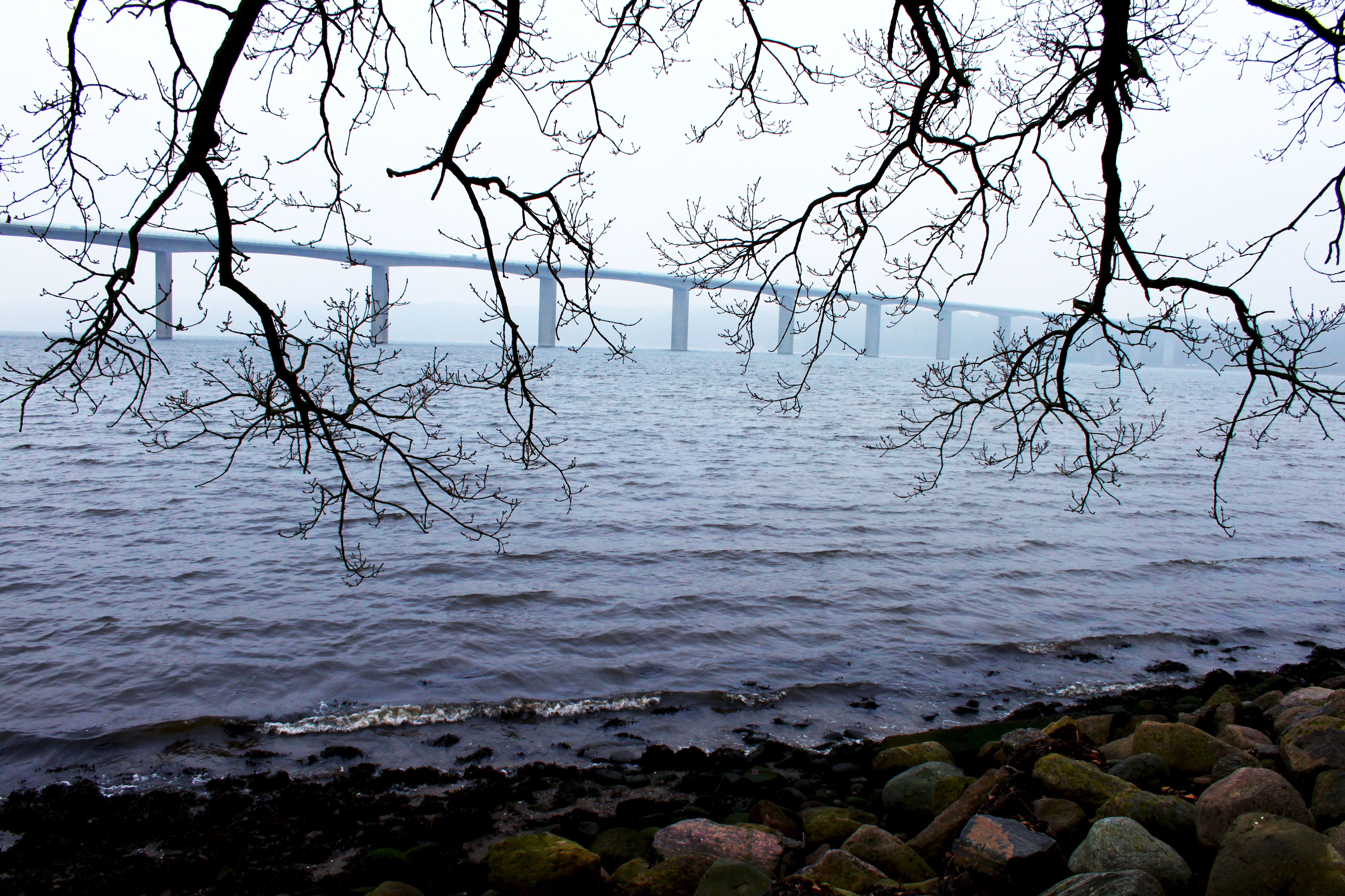 scenics - nature, beauty in nature, 4K, plant, danmark, bare tree, bridge, stones, idyllic, vejle, no people, outdoors, non-urban scene, nature, tranquil scene, HD Wallpaper