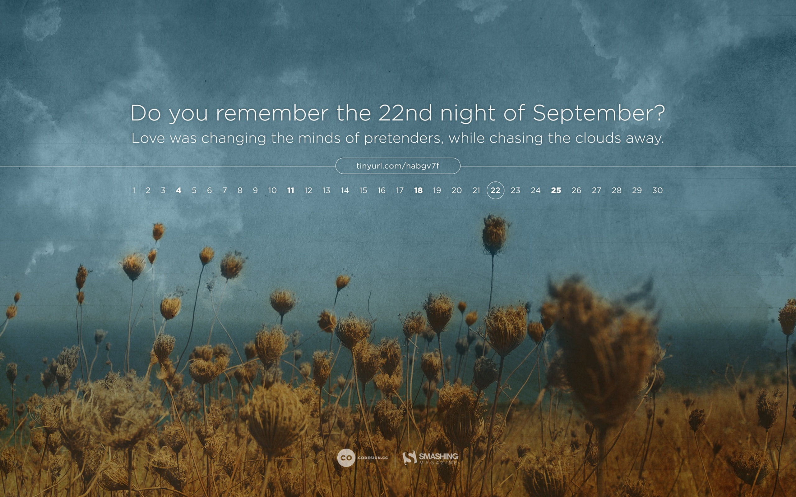  night, plant, calendar, beauty in nature, architecture, land, growth, landscape, non-western script, western script, nd, communication, grass, HD Wallpaper
