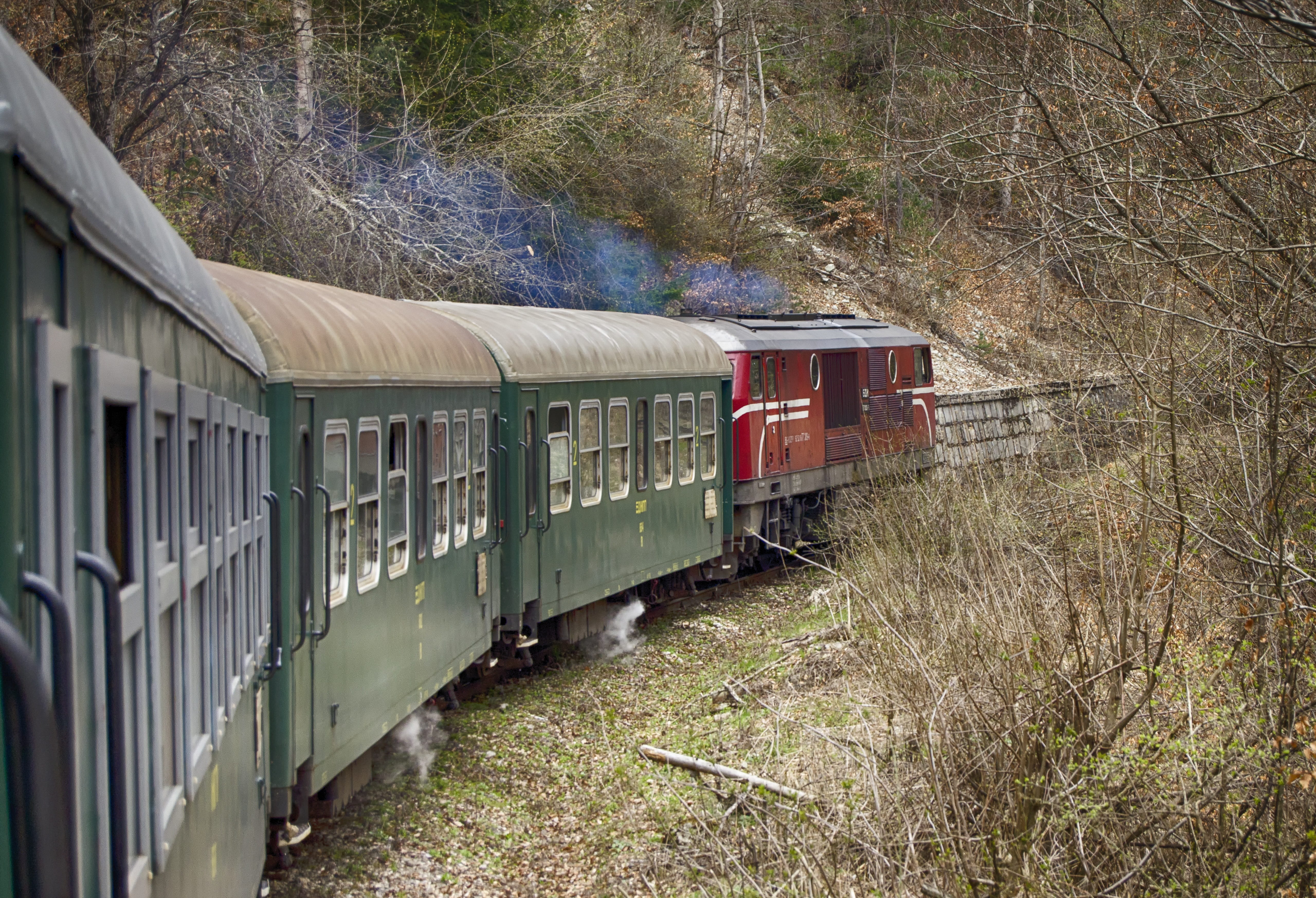 green, diesel locomotive, no people, public transportation, vintage, bulgaria, forest, narrow gauge railway, growth, smoke, field, day, coaches, grass, HD Wallpaper