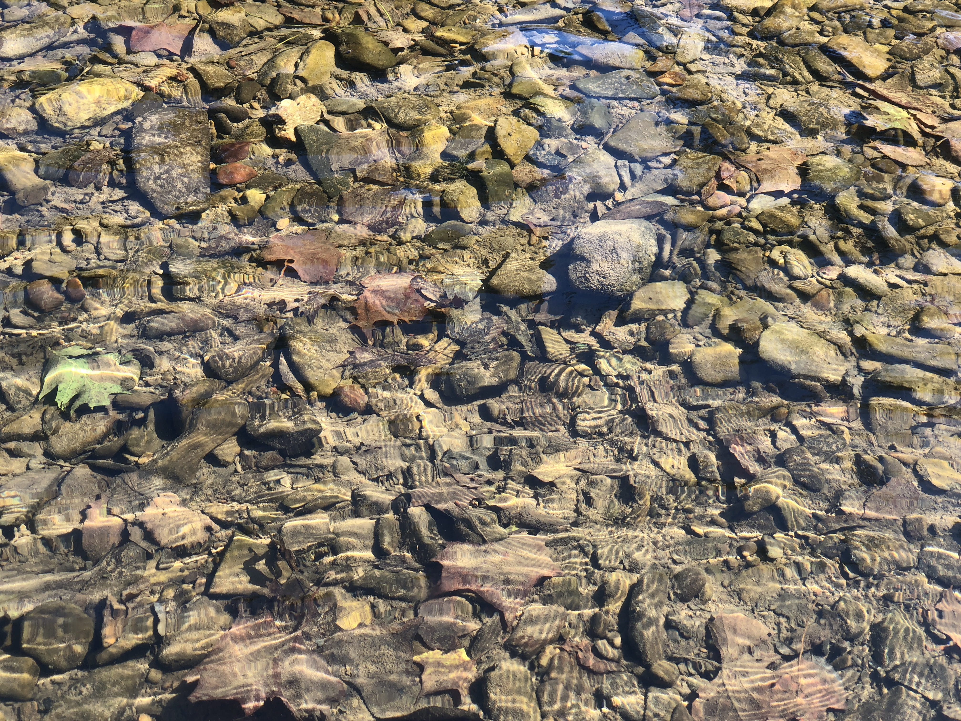 ripple, nature, outdoors, river, creek, no people, textured, tranquility, rock, water, high angle view, full frame, stone, united states, new castle, pebble, HD Wallpaper