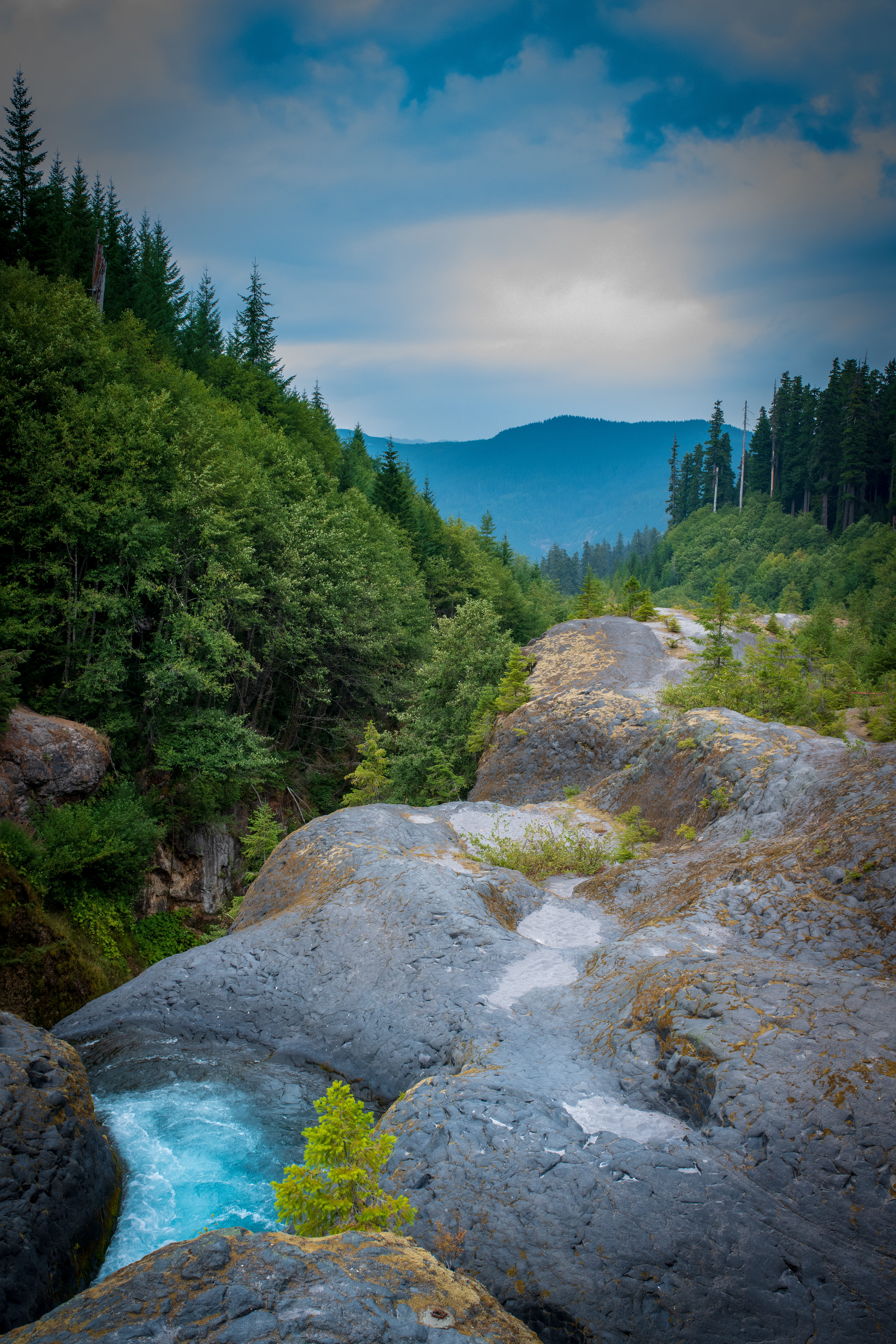 trees, boulder, cloud - sky, photo, outdoors, stream - flowing water, road, daytime, flowing, scenics - nature, rainforest, rock, growth, basin, mountain, Phone HD Wallpaper