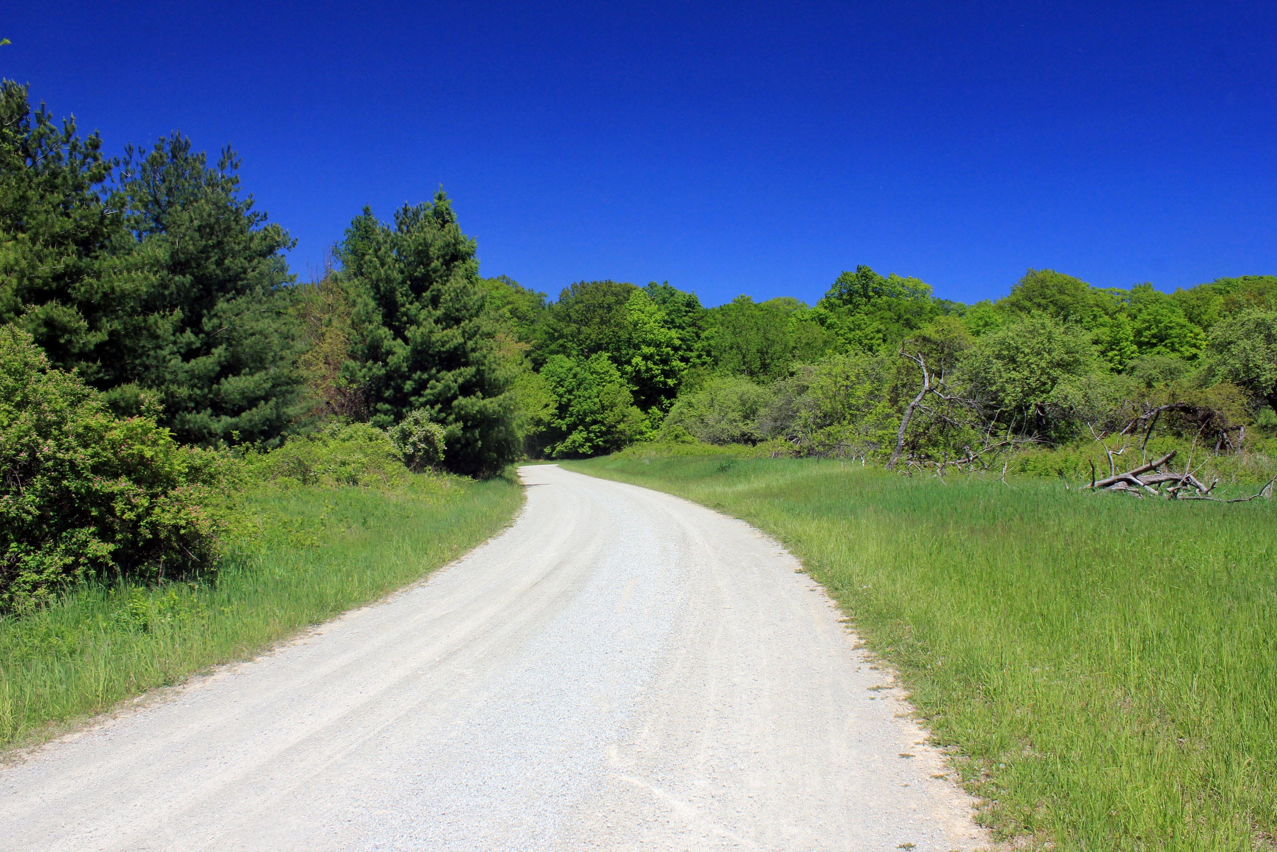 park, nature, scenics, bronte, day, Gravel Road, scenics - nature, landscape, environment, bronte creek state park, state, sky, tree, 1080P, rural Scene, HD Wallpaper