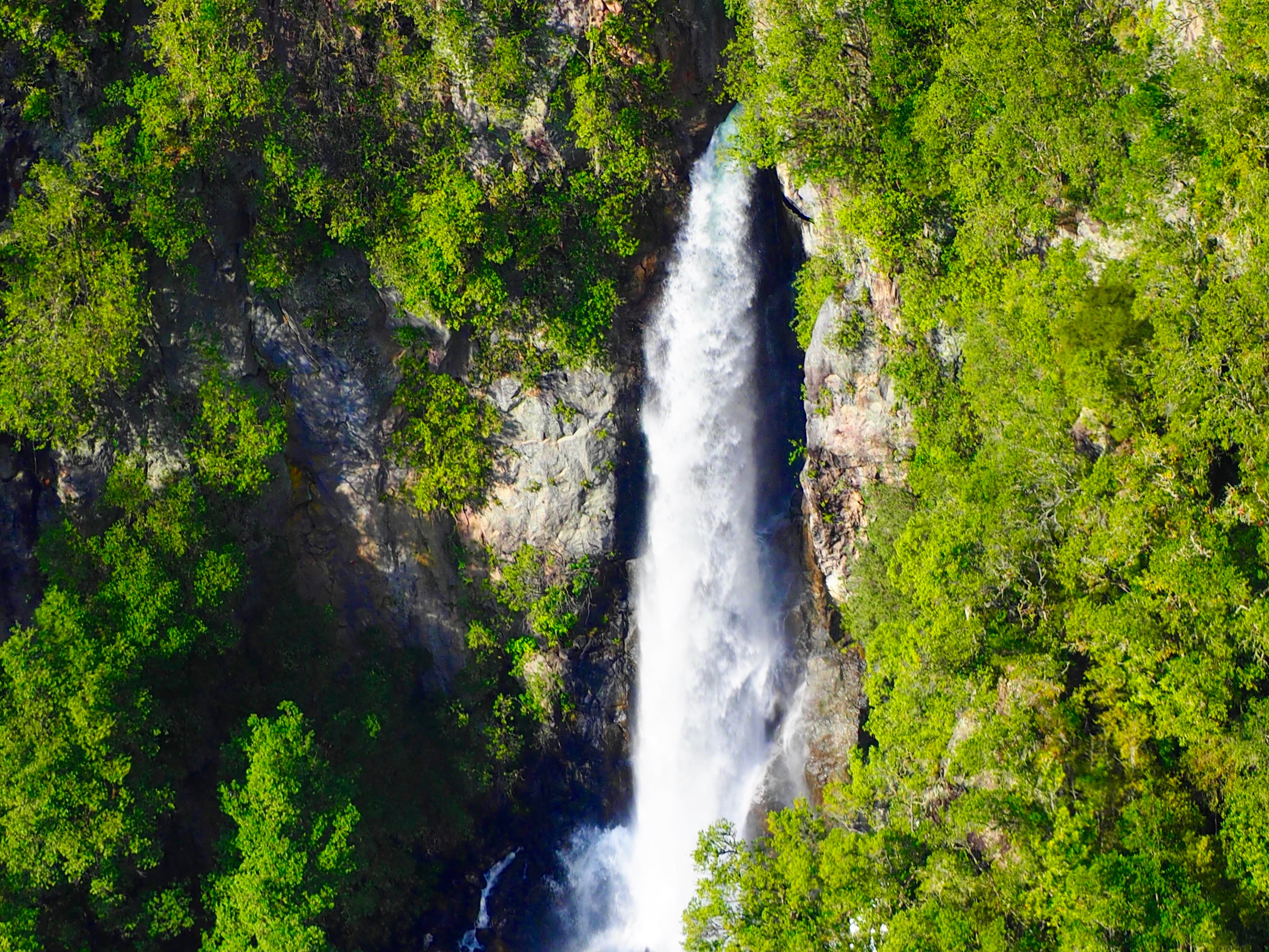 stream, adventure, river, scenery, day, cascading, jungle, rainforest, trees, land, flowing, vegetation, motion, outdoors, green color, water, power in nature, HD Wallpaper