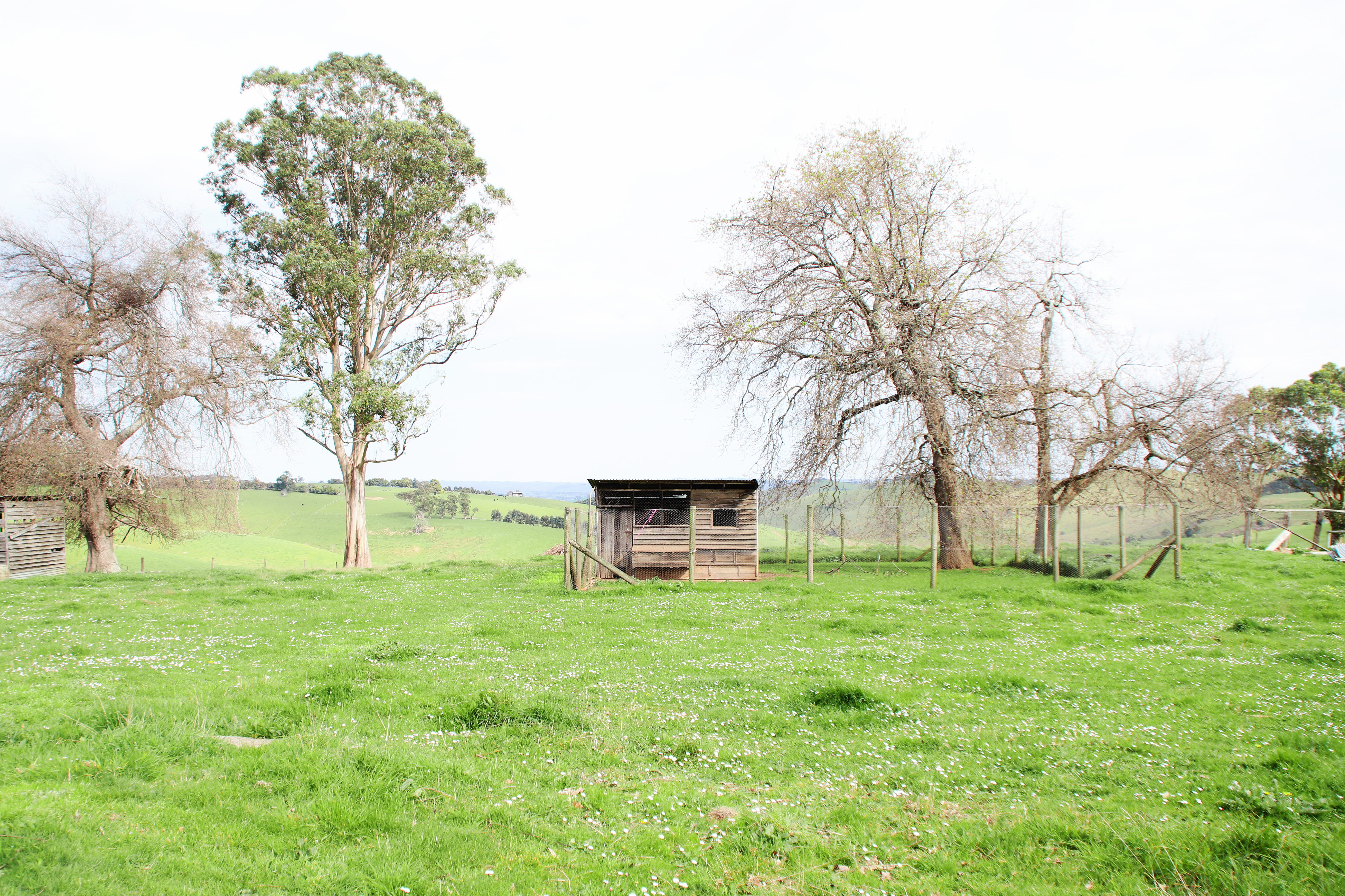 outdoors, blue, grass, no people, 5K, farmhouse, vintage, environment, beauty in nature, old, mountain, eucalyptus, green color, summer, sky, plain, built structure, HD Wallpaper