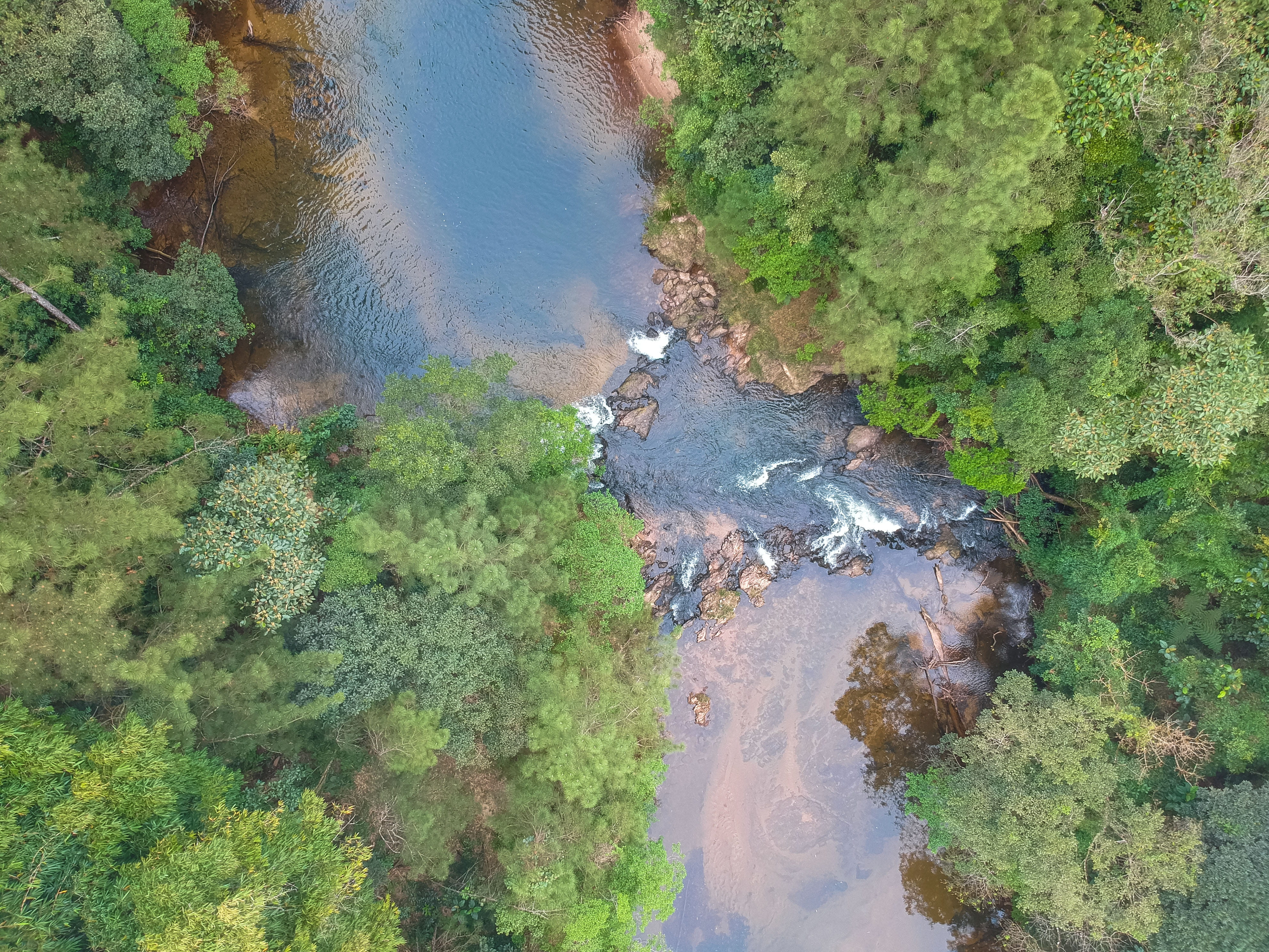 non-urban scene, land, creek, day, river, dirt road, rainforest, reflection, no people, shallow, tranquility, scenics - nature, 4K, stream, grey, forest, HD Wallpaper
