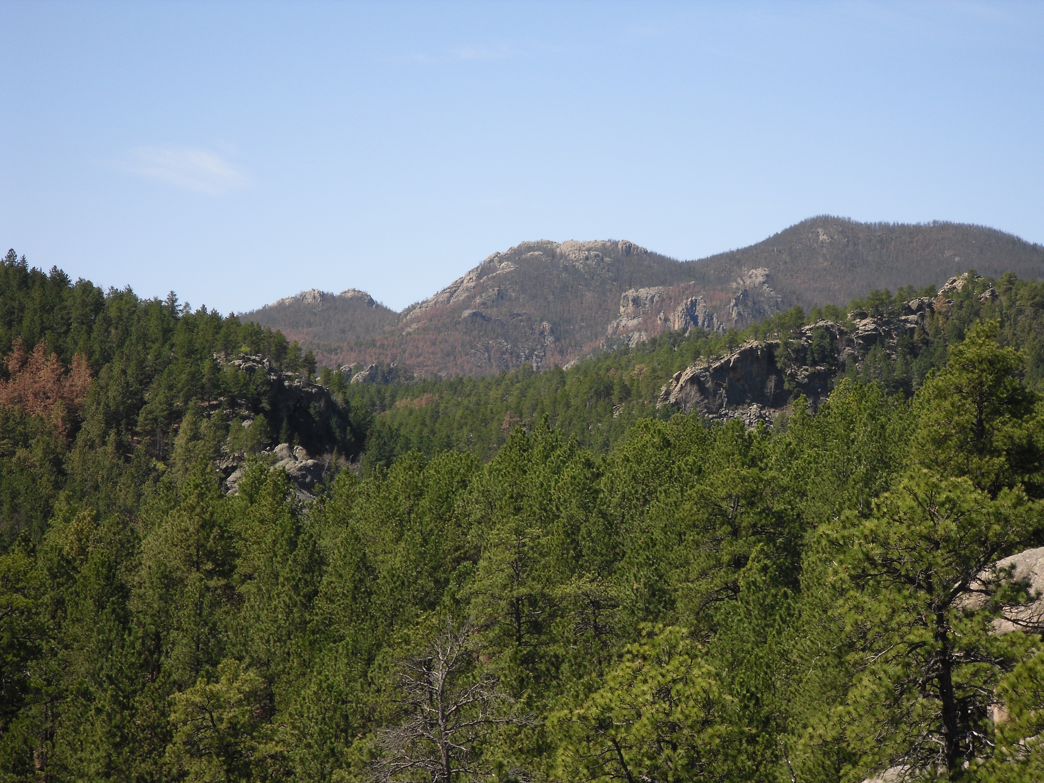 scenics, outdoors, non-urban scene, summer, mountain, south dakota, pine tree, no people, environment, landscape, 2K, backpacking, land, forest, beauty in nature, HD Wallpaper