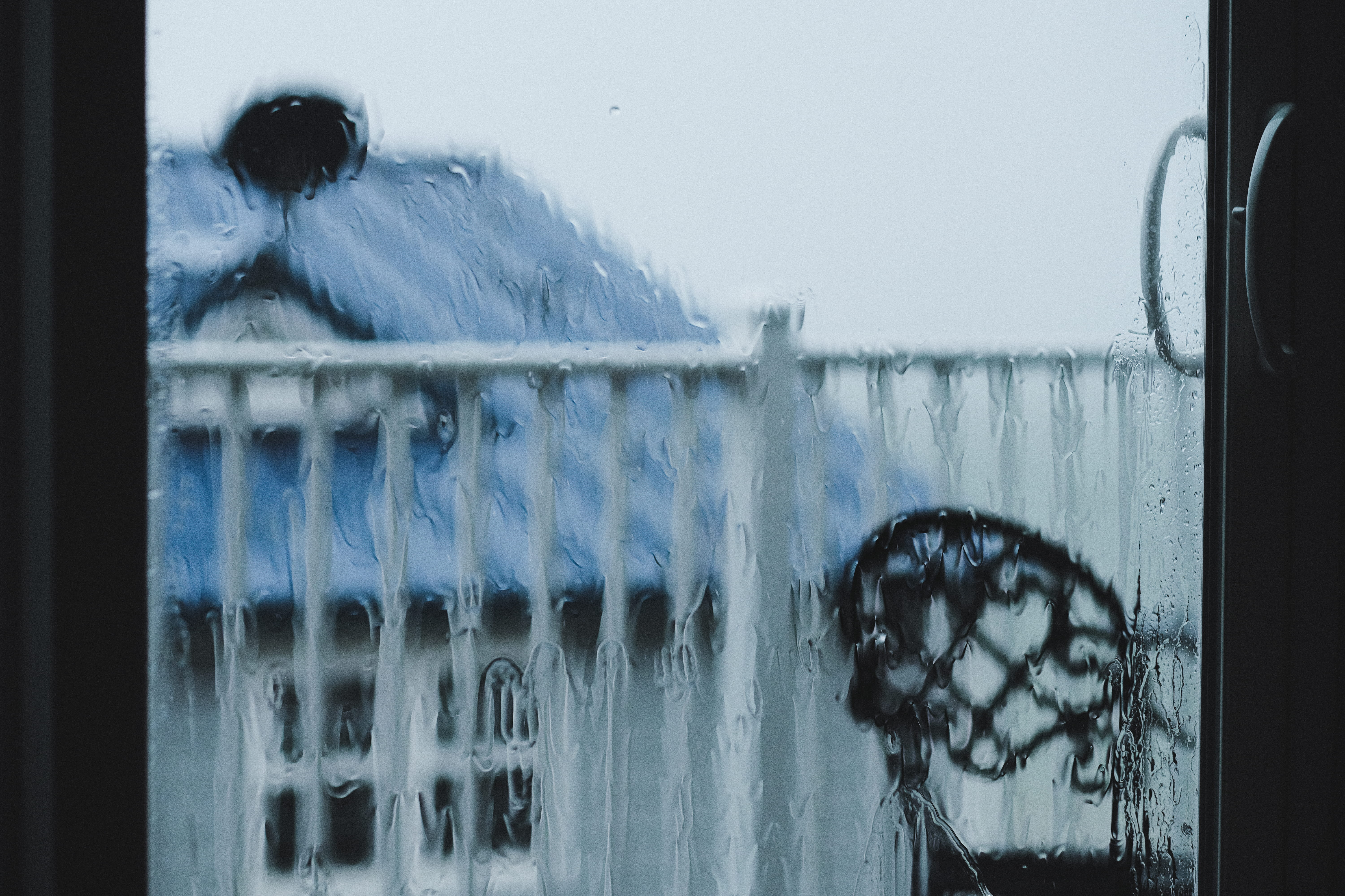 handrail, animal themes, water, winter, ocean, storm, nature, fence, deer, outdoors, mammal, glass - material, window, ice, elk, sea, railing, glass, mountain, HD Wallpaper