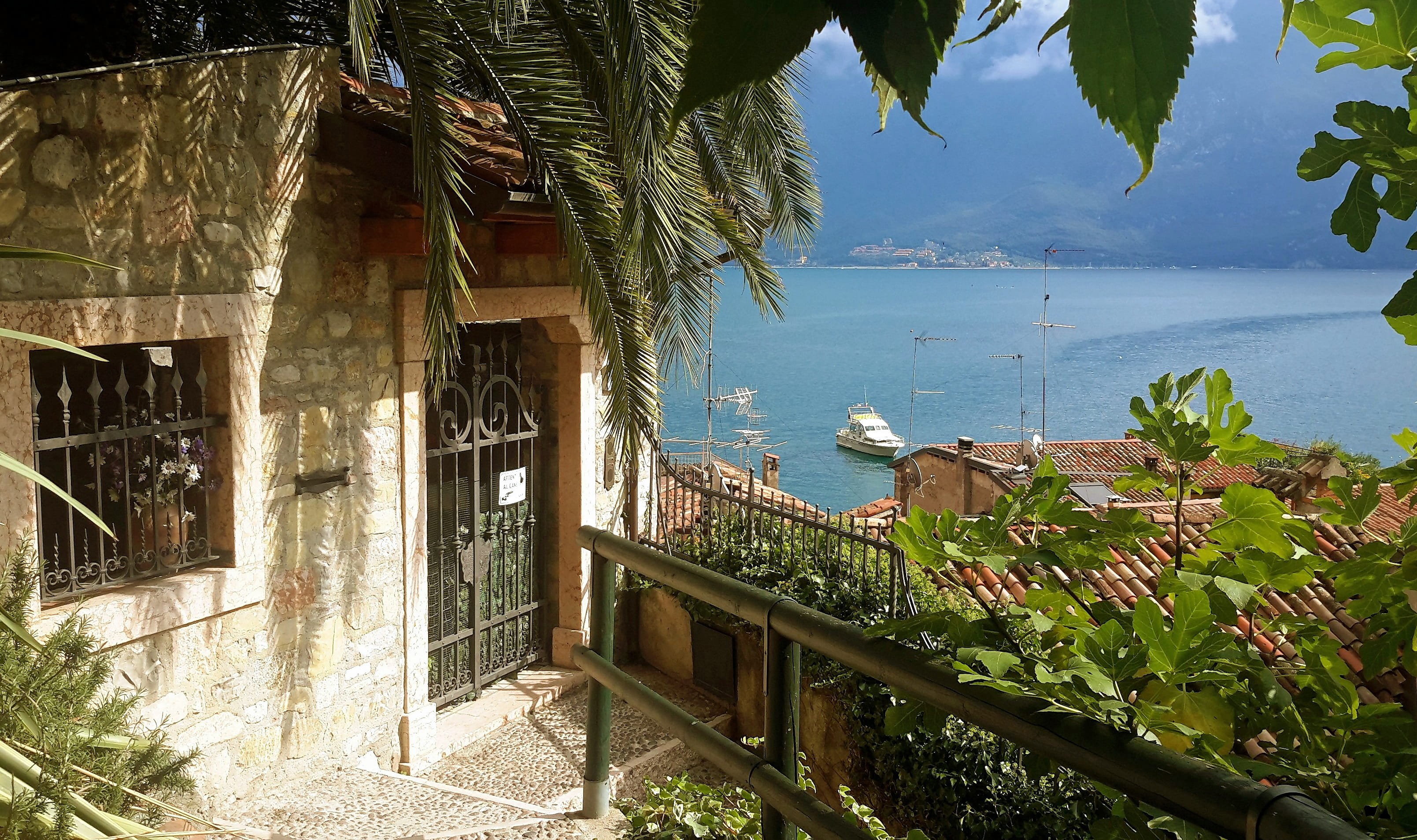 tree, building, scenics - nature, view of house, building exterior, plant, architecture, view, no people, limone, sea, house, roof, growth, beauty in nature, HD Wallpaper
