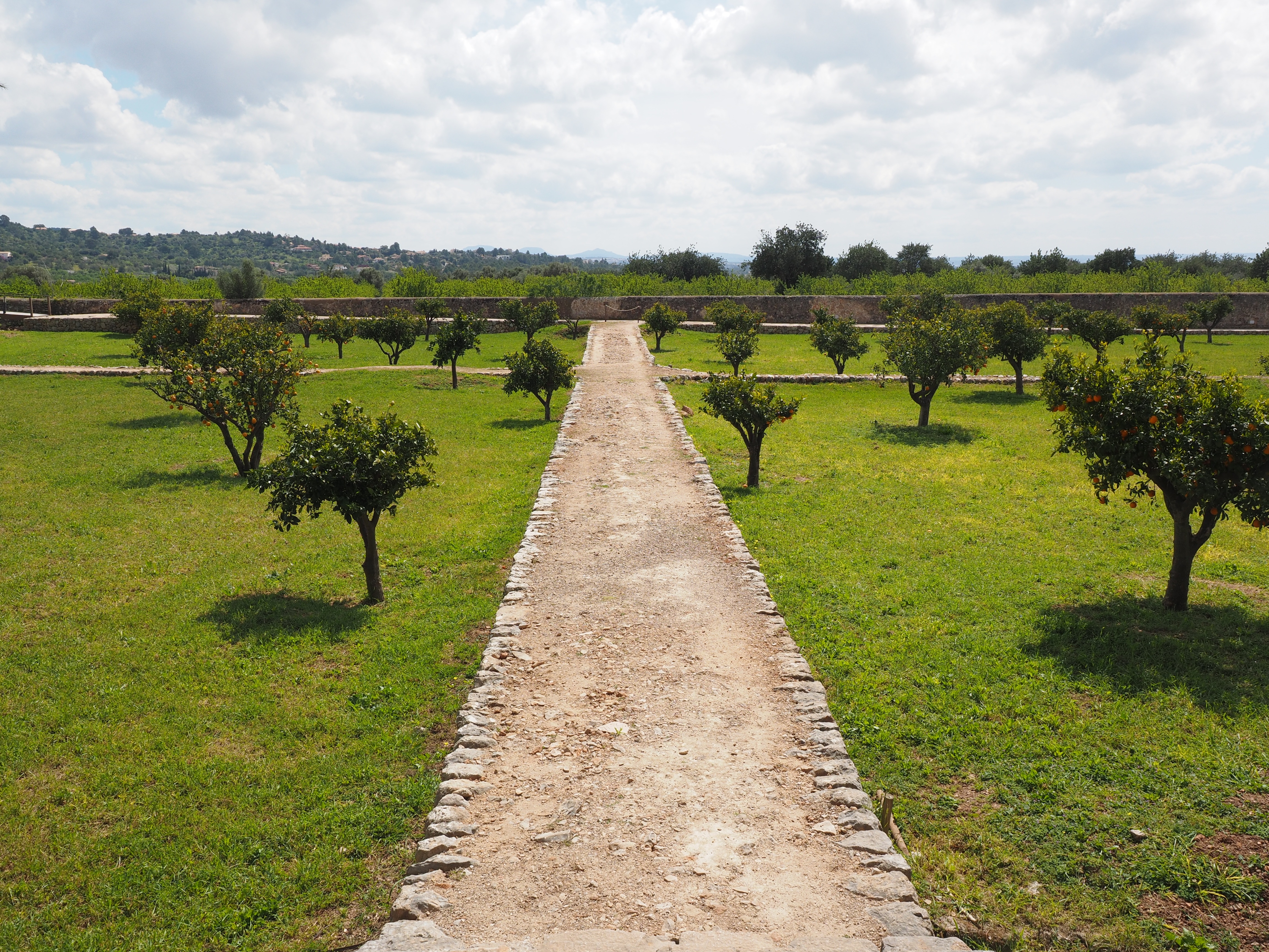 historically, trees, tranquil scene, the way forward, fruit trees, grass, pathway, landscape, tree, tranquility, field, land, nature, cloud - sky, footpath, HD Wallpaper
