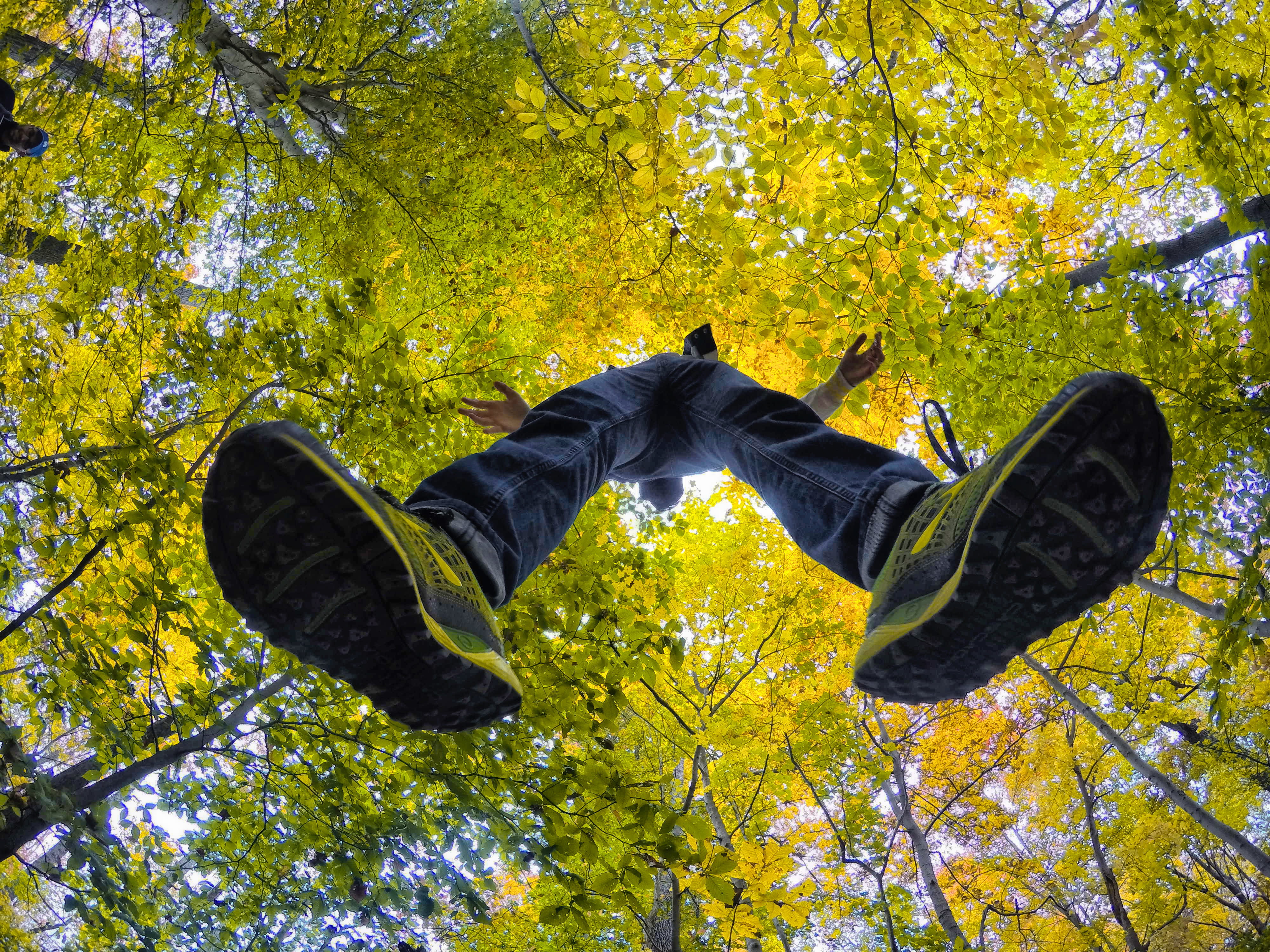 low angle view, hover, casual clothing, change, nature, ellicott city, full length, trees, green color, tree, soar, plant, leisure activity, lifestyles, HD Wallpaper