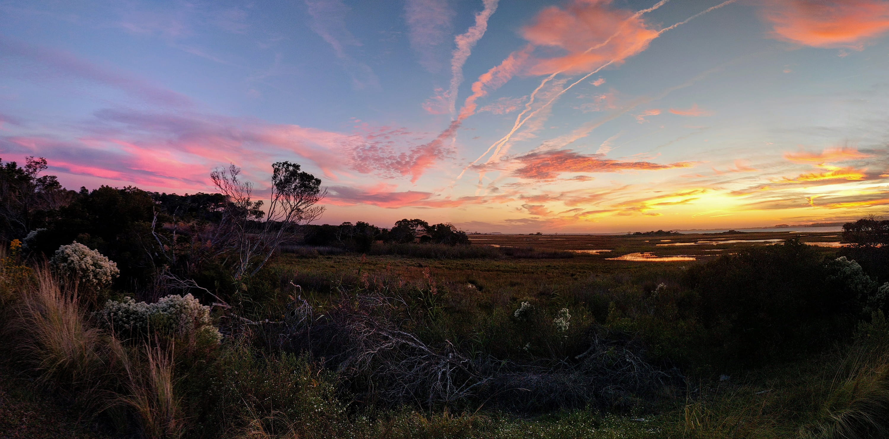 scenics - nature, bay, marsh, assateague island, field, plant, no people, seashore, tranquil scene, orange color, grass, environment, cloud - sky, 2K, HD Wallpaper