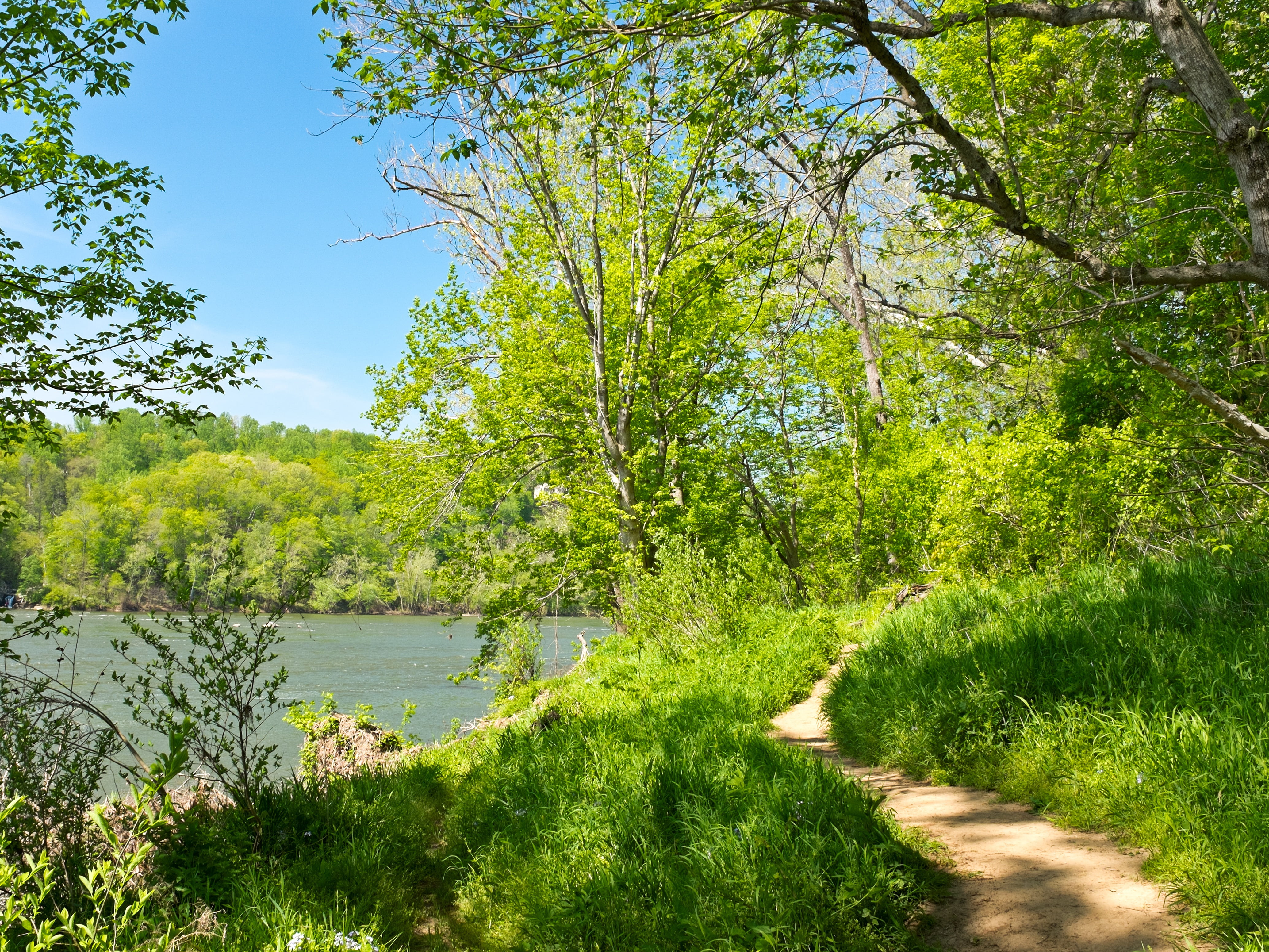 maryland, land, hiking, grass, tranquil scene, 4K, no people, foliage, potomac river, lake, forest, outdoors, day, plant, scenics - nature, green color, HD Wallpaper
