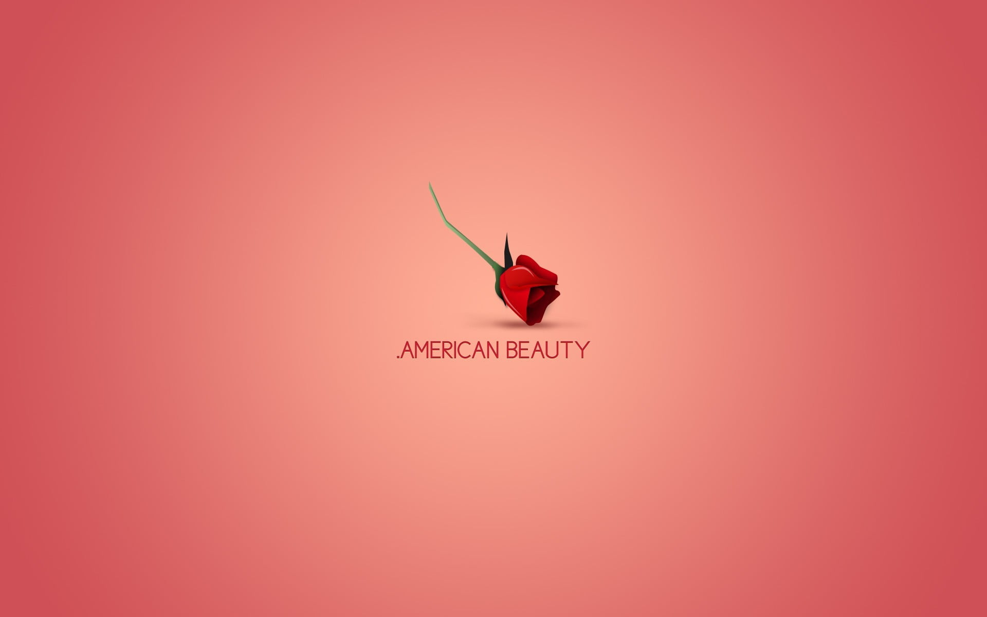 pink color, colored background, American Beauty, flowers, rose, animal wildlife, emotion, indoors, simple background, text, positive emotion, western script, HD Wallpaper