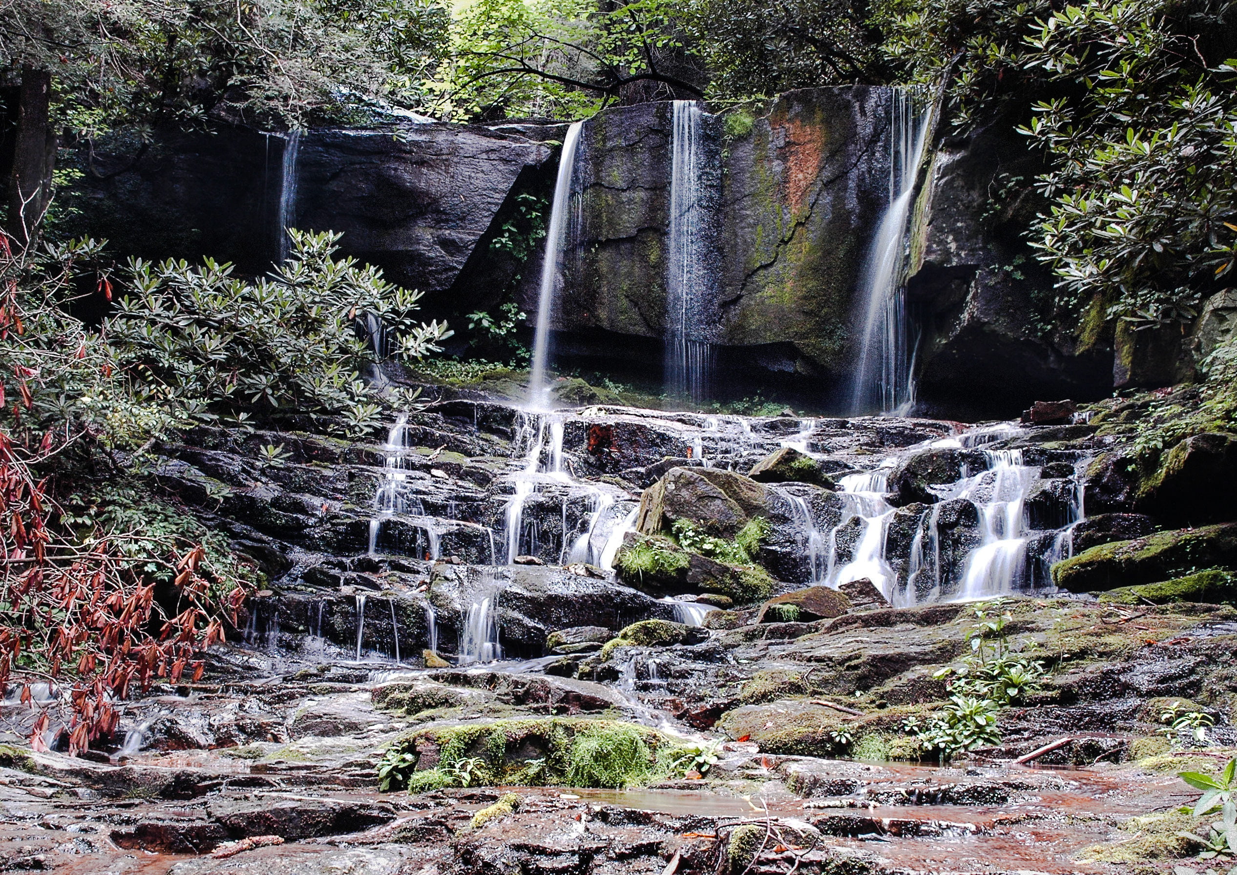 tree, 1080P, day, scenic, time-lapse, trees, cascade, forest, falls, landscape, waterfall, rapids, river, rock - object, stream, water, flowing water, HD Wallpaper