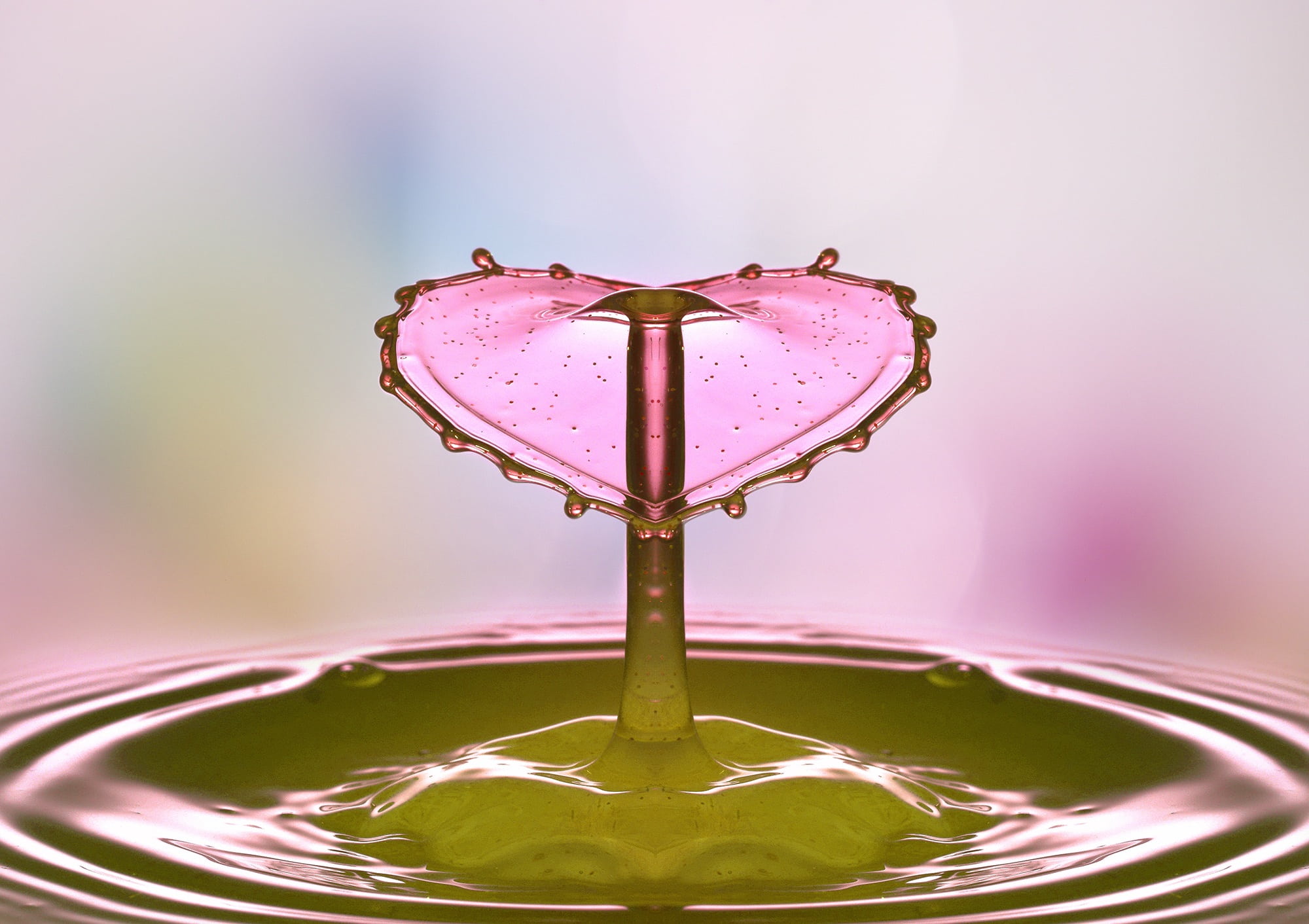 purple, surface tension, drip, illuminated, close-up, love, pouring, mirroring, multi colored, water, hochspringender high drop, motion, valentine, mirrored, HD Wallpaper