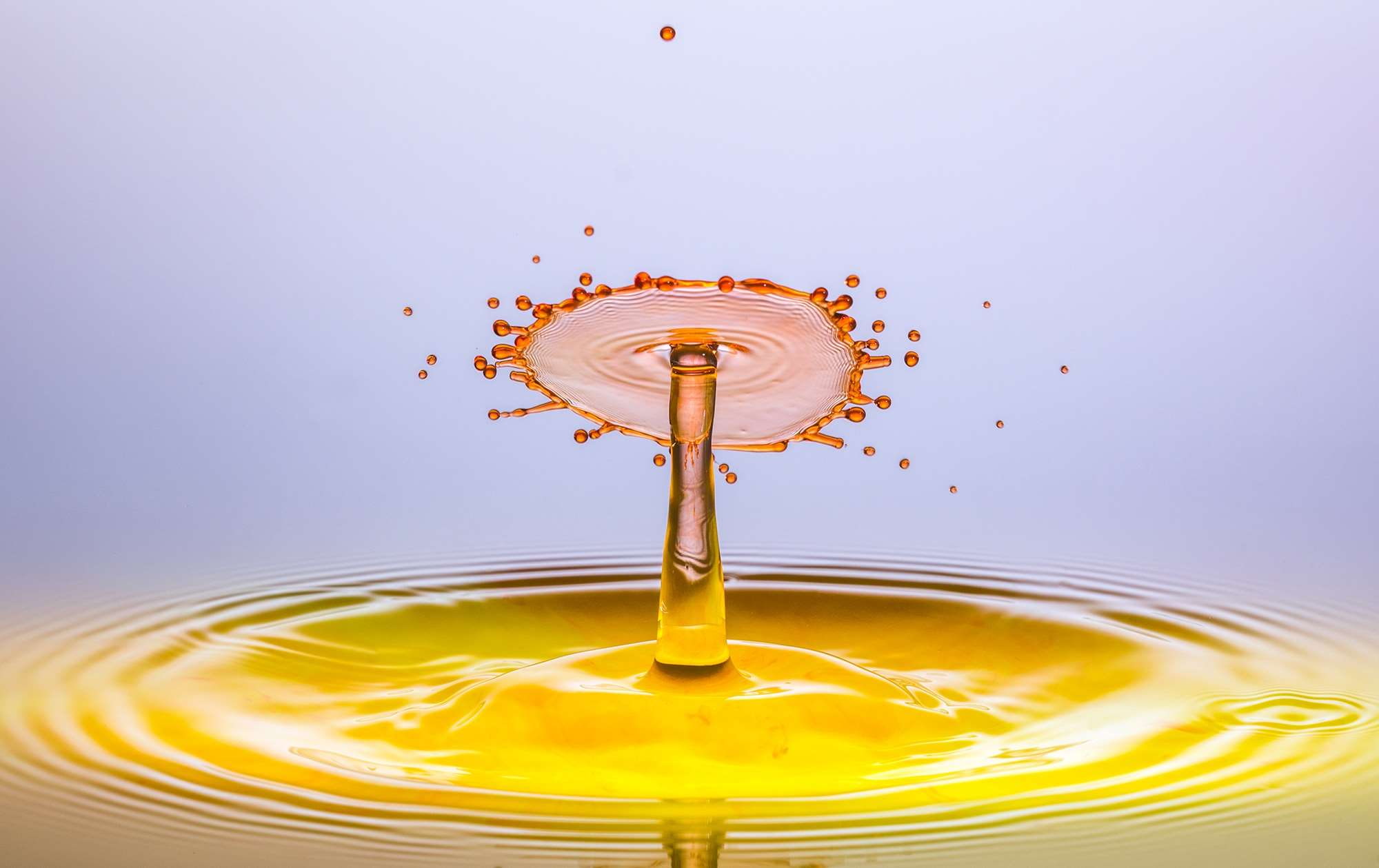 purity, close, clear, indoors, wet, rippled, drip, water feature, drop, liquid, hochspringender high drop, water, 1080P, droplet photography, nature, high-speed photography, HD Wallpaper