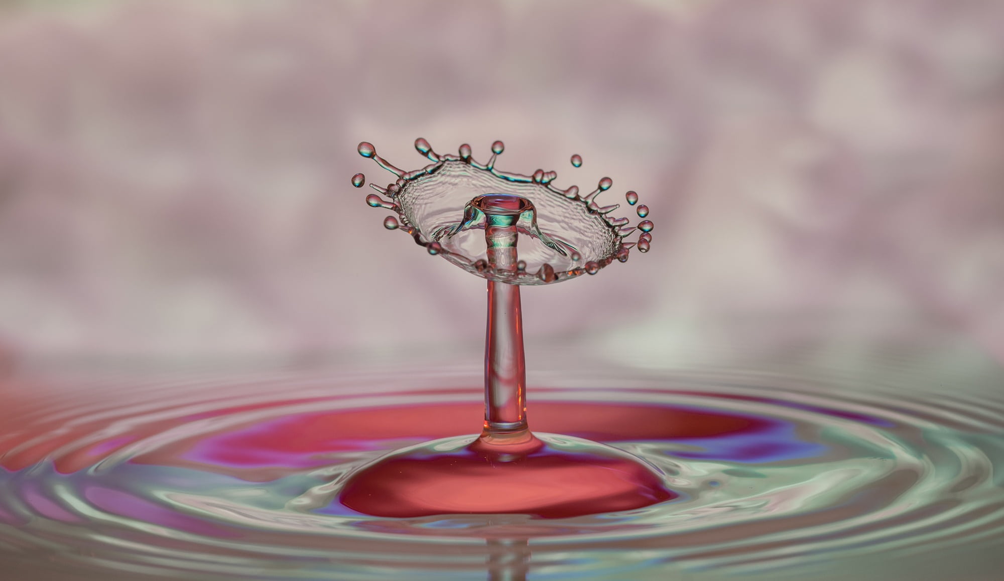 wet, waterfront, drop-on-drop, day, household equipment, liquid, splashing, 1080P, drop of water, freshness, high speed, purple, nature, purity, macro, HD Wallpaper
