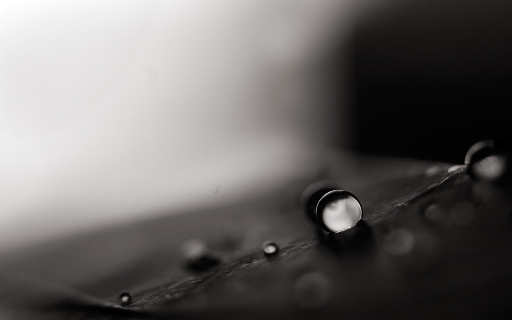 injecting, wet, drop, indoors, needle, accuracy, close-up, sharp, no people, nature, healthcare and medicine, food and drink, pipette, syringe, dew, photography nature plants monochrome macro water drops leaves, HD Wallpaper
