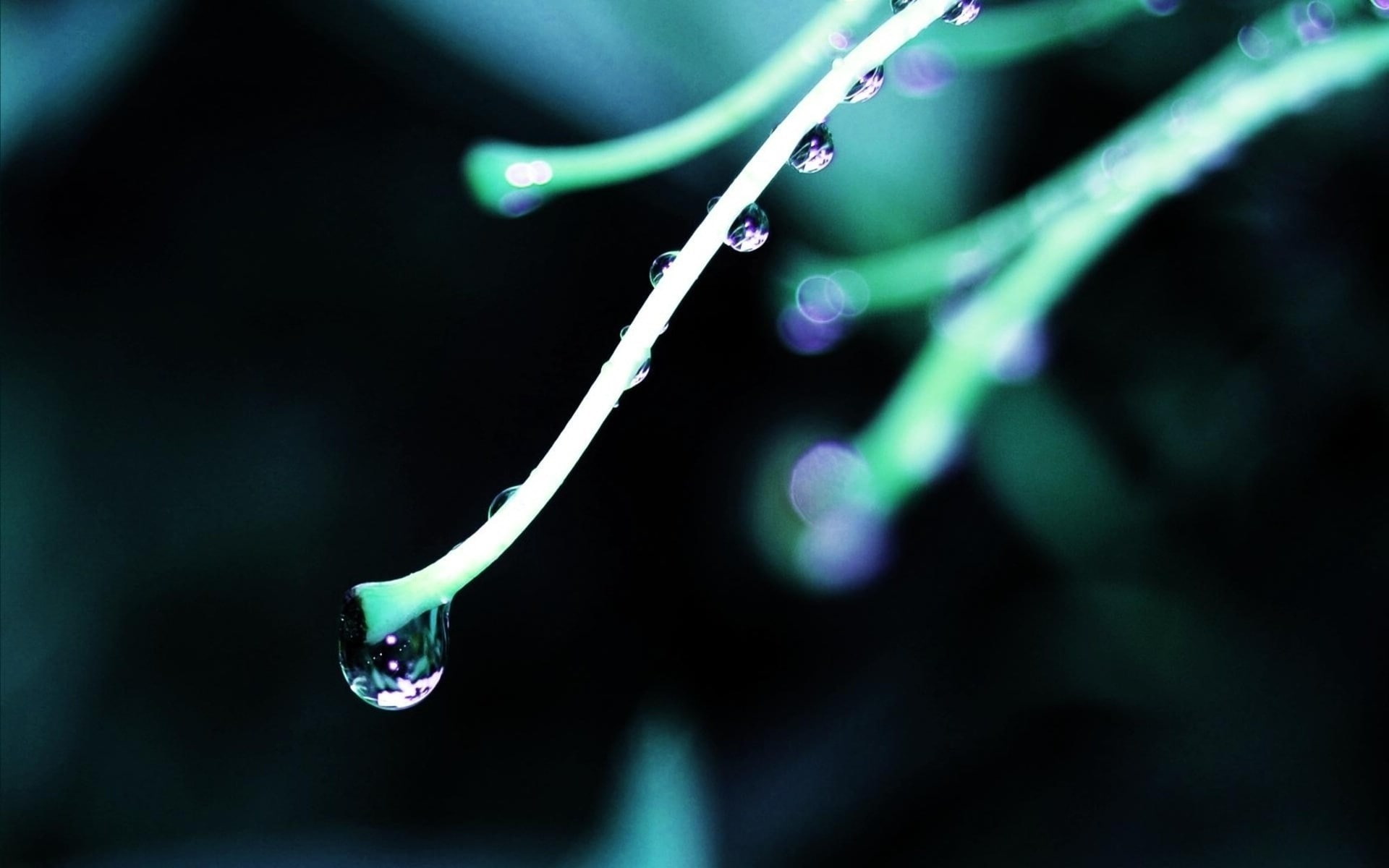 scientific experiment, water drop, drop, indoors, nature, plant, science, close-up, cable, pipette, music, no people, focus on foreground, water, research, HD Wallpaper