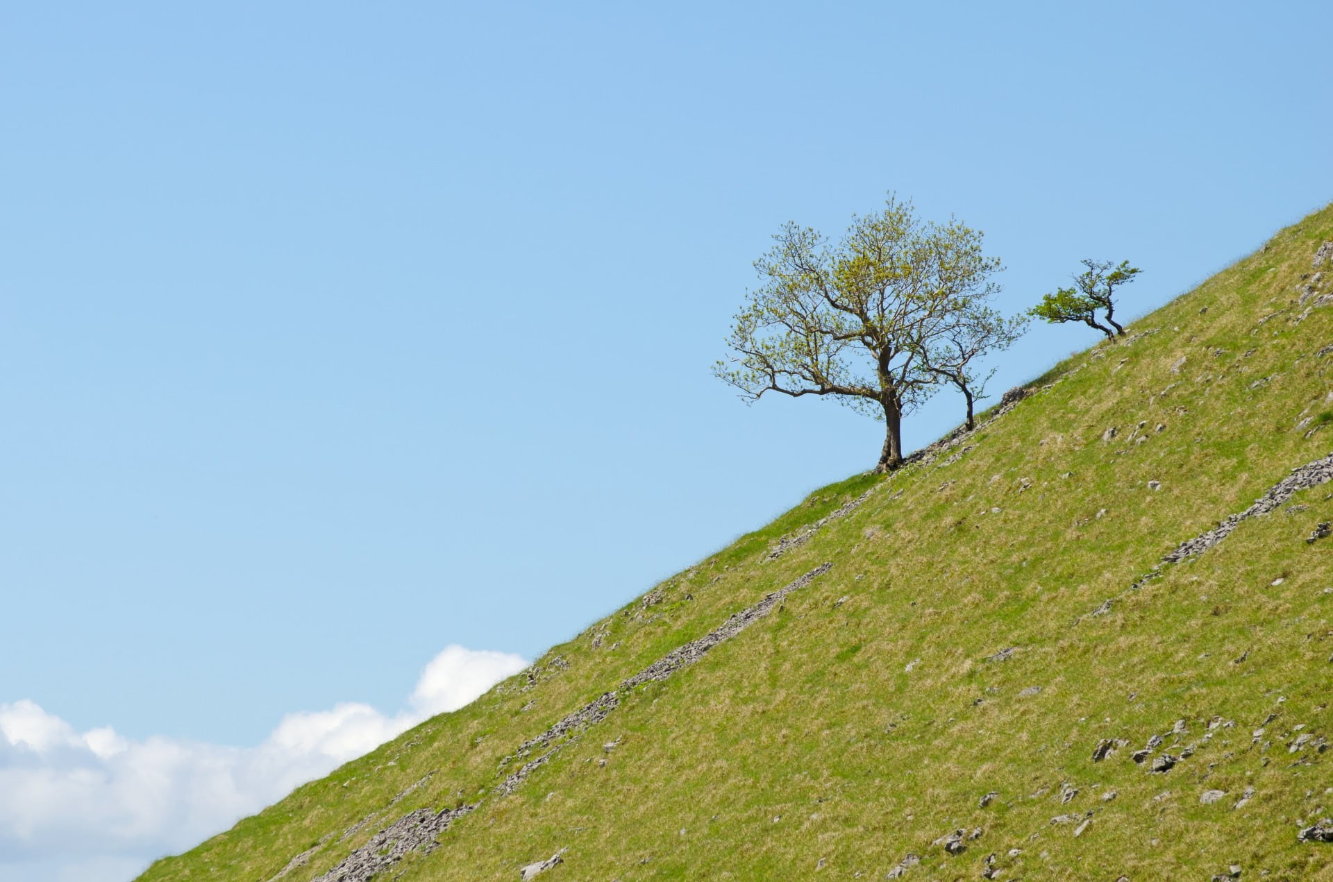 tranquility, tree, scenery, cloud - sky, grass, day, copy space, no people, season, cloud, mountain, environment, branches, 1080P, park, beauty in nature, HD Wallpaper
