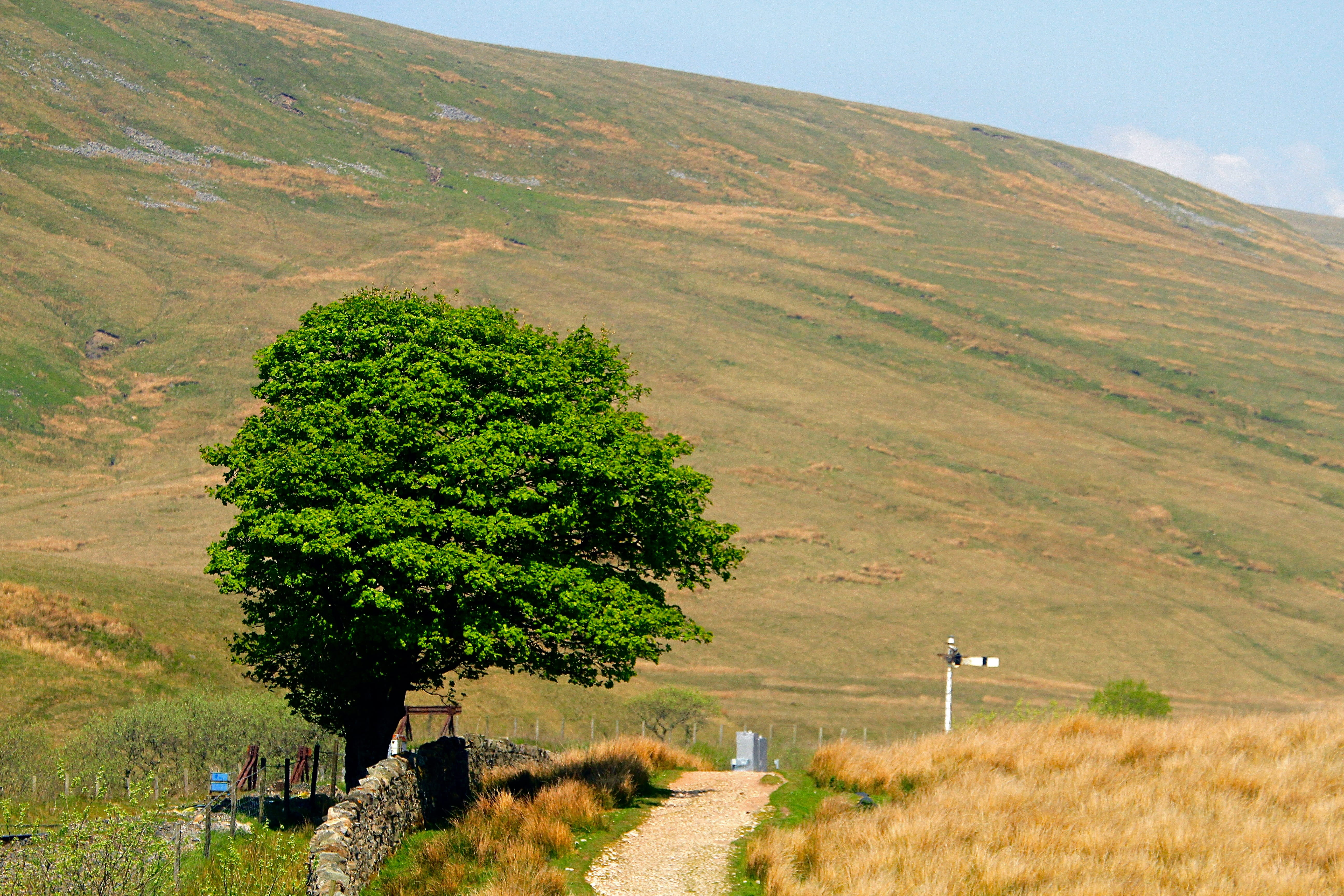 road, land, sky, scenics - nature, field, mountain, malham, day, no people, united kingdom, tranquility, tree, environment, landscape, outdoors, beauty in nature, HD Wallpaper