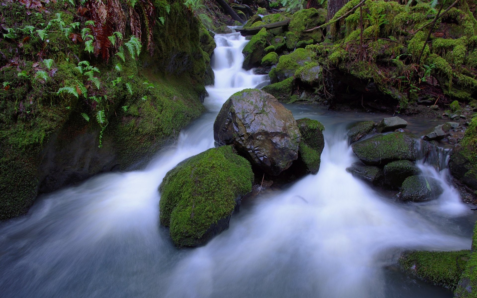 nature, rocks, stream, hd, forest, stones, 1080P, moss, HD Wallpaper