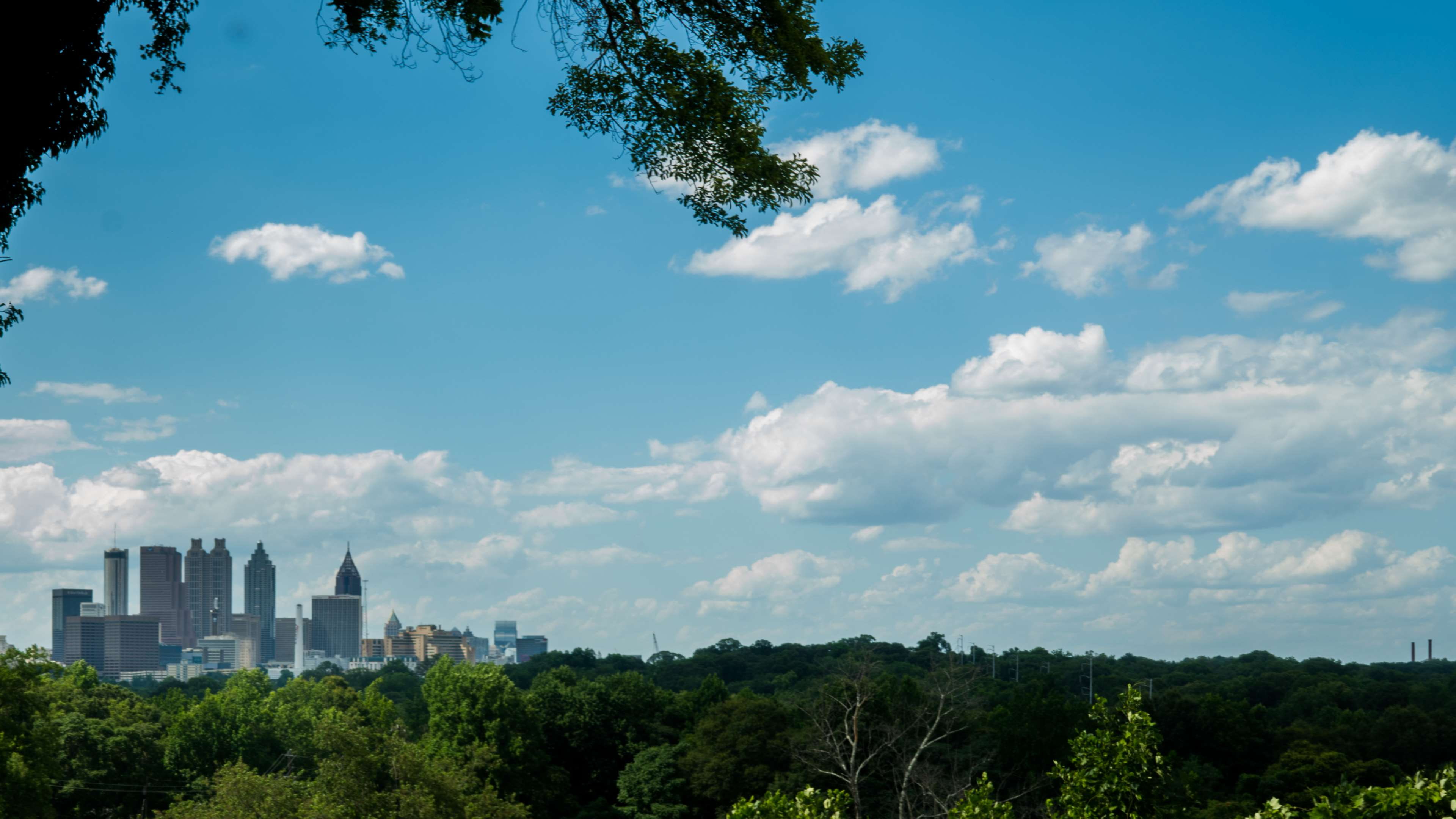 atlanta, no people, outdoors, skyline, sunlight, scenics - nature, green color, 4K, skyscraper, plant, beauty in nature, city, growth, cloud - sky, building exterior, HD Wallpaper