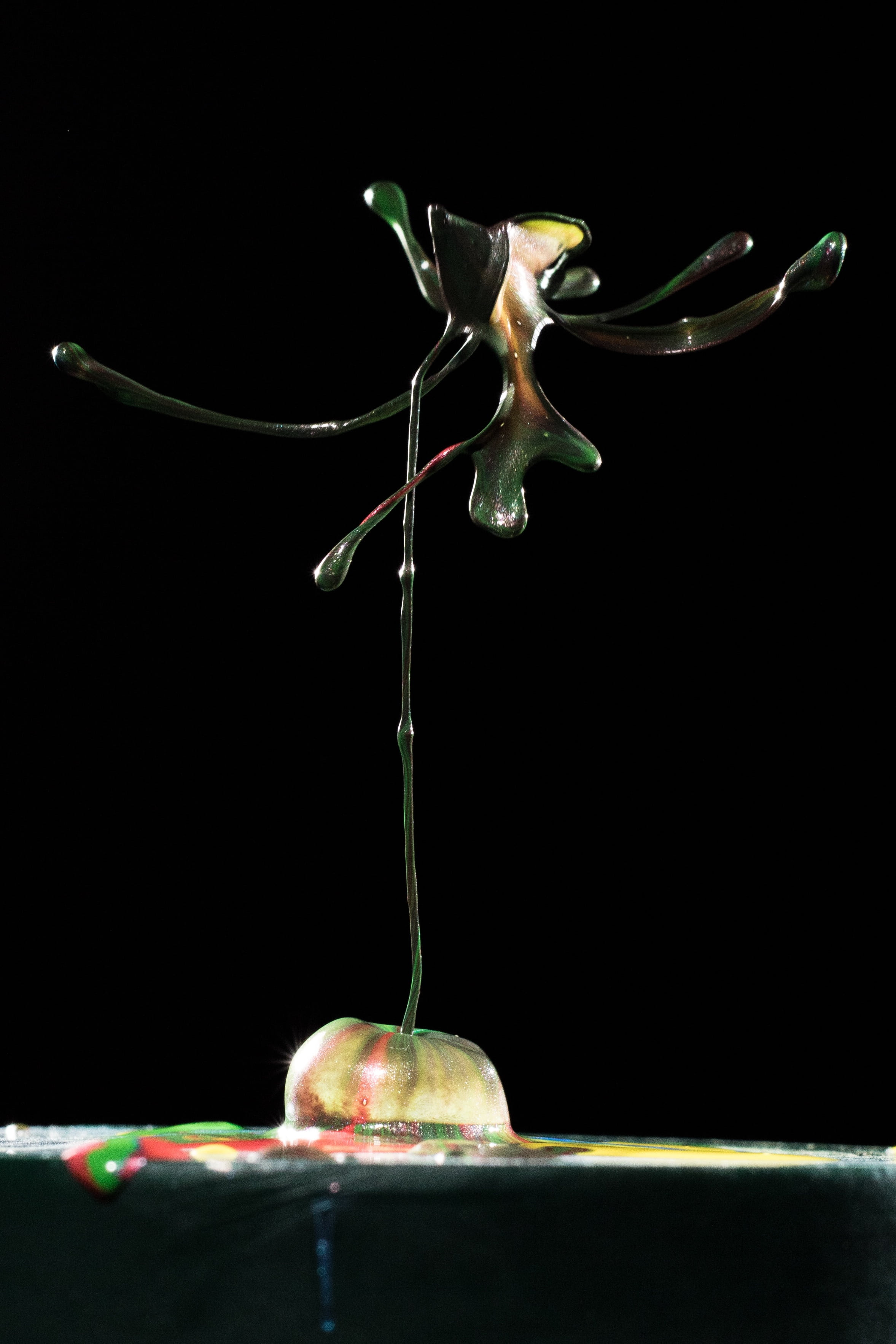animal themes, food, still life, 2K, hochspringender high drop, liquid, fragility, color drops, color game, close-up, studio shot, dance, plant stem, wellbeing, Phone HD Wallpaper