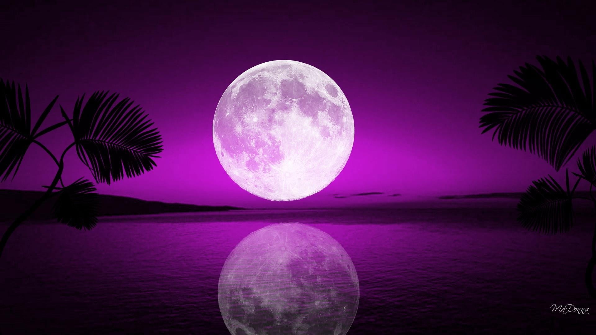 palm tree, reflection, 1080P, moom, full moon, tranquility, tranquil scene, water, purple, color, sphere, sea, scenics - nature, dream, beauty in nature, HD Wallpaper