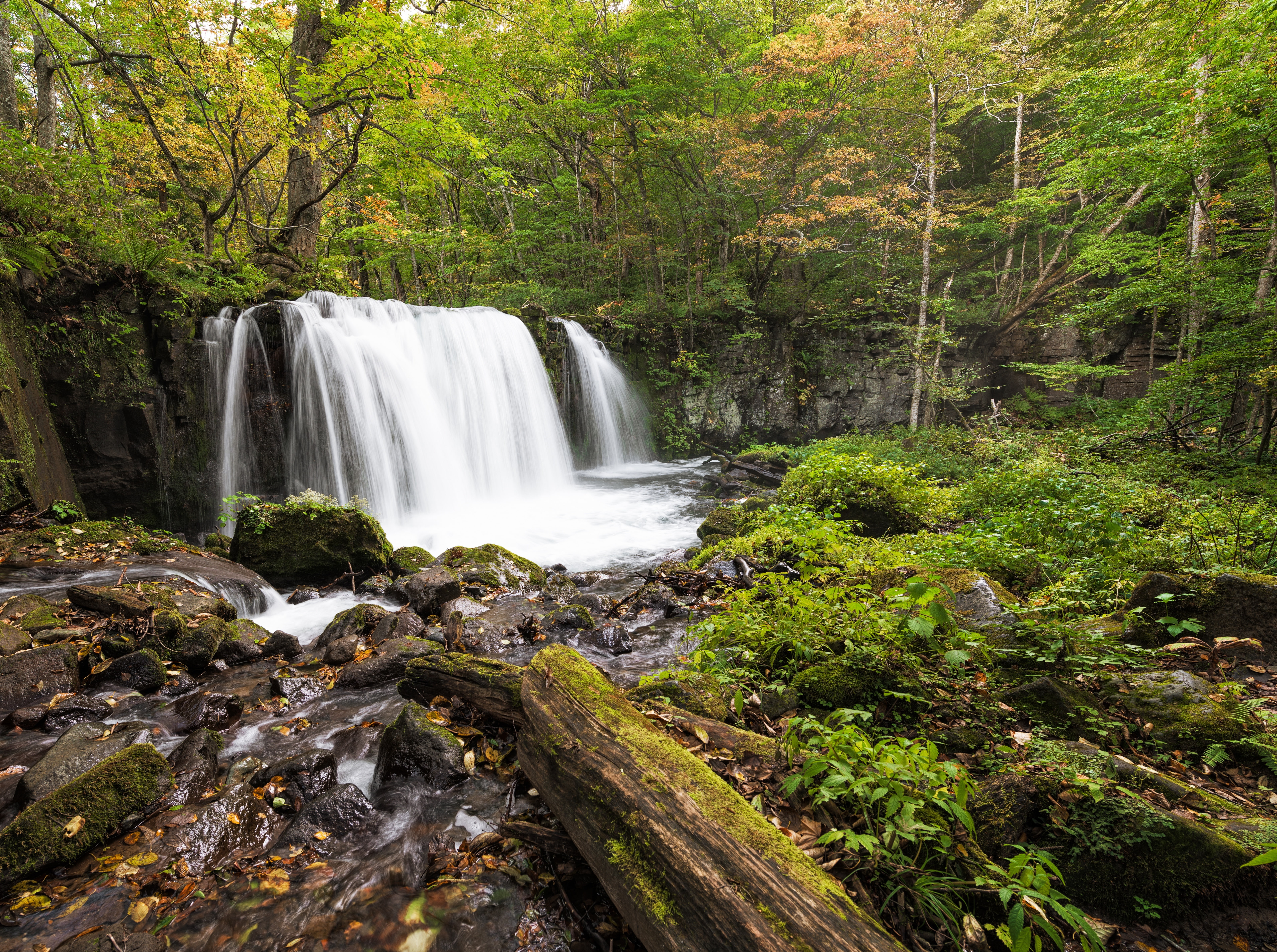 flowing, growth, River, blurred motion, rock, towadashi, touhoku, no people, beauty in nature, towada, Choshi Otaki Falls, oirasestream, waterfall, prefecture, HD Wallpaper