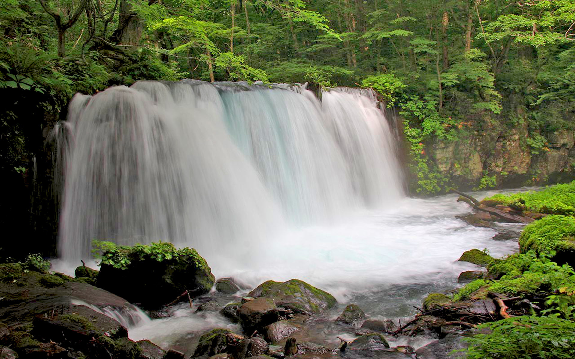 river, ootaki, resolutionx, 1080P, falls, hd, oirase, choshi, HD Wallpaper