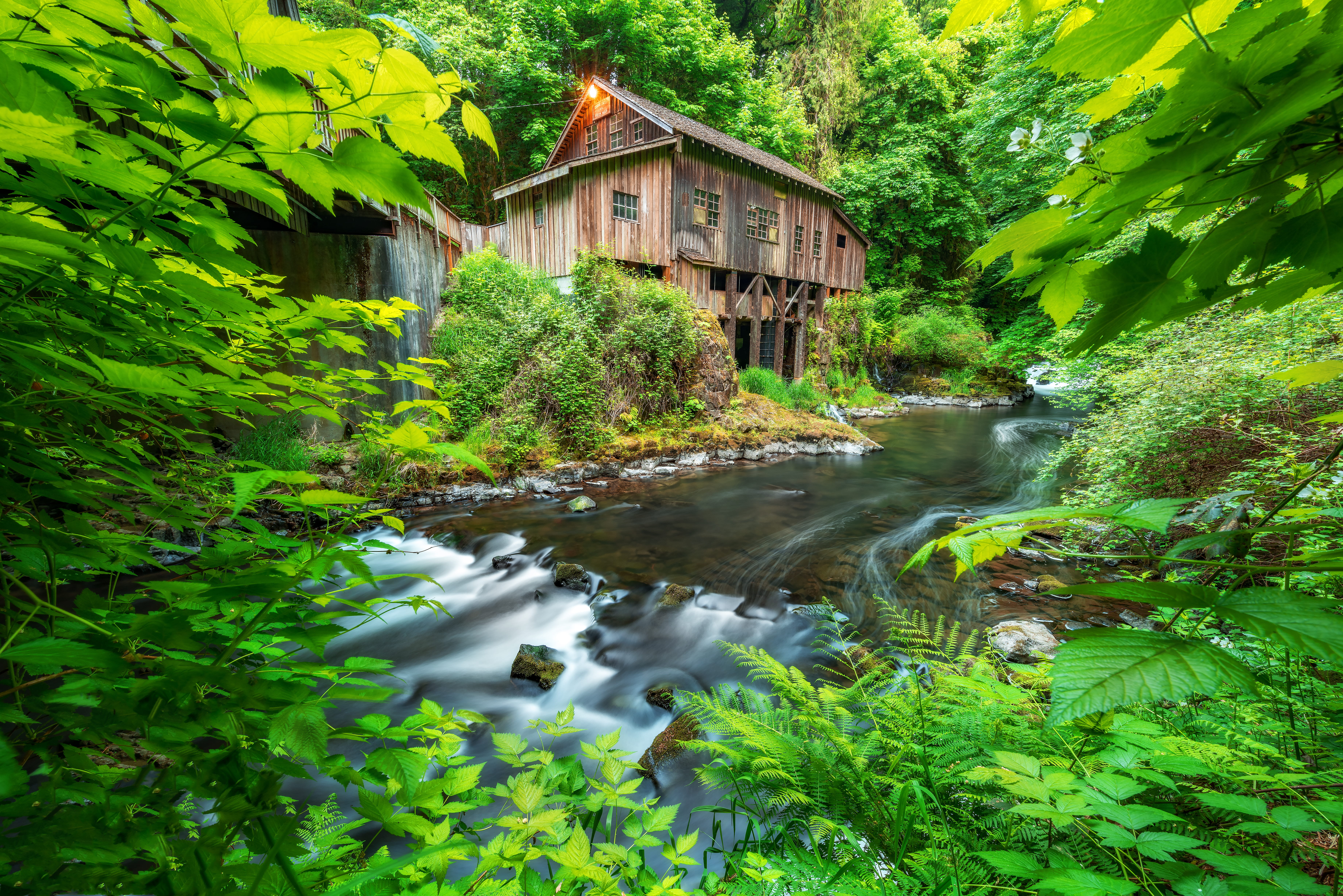 river, built structure, wooden, landscape, beside, brown, scenics - nature, plant, motion, nature, building exterior, woodland, flora, cottage, mill house, HD Wallpaper