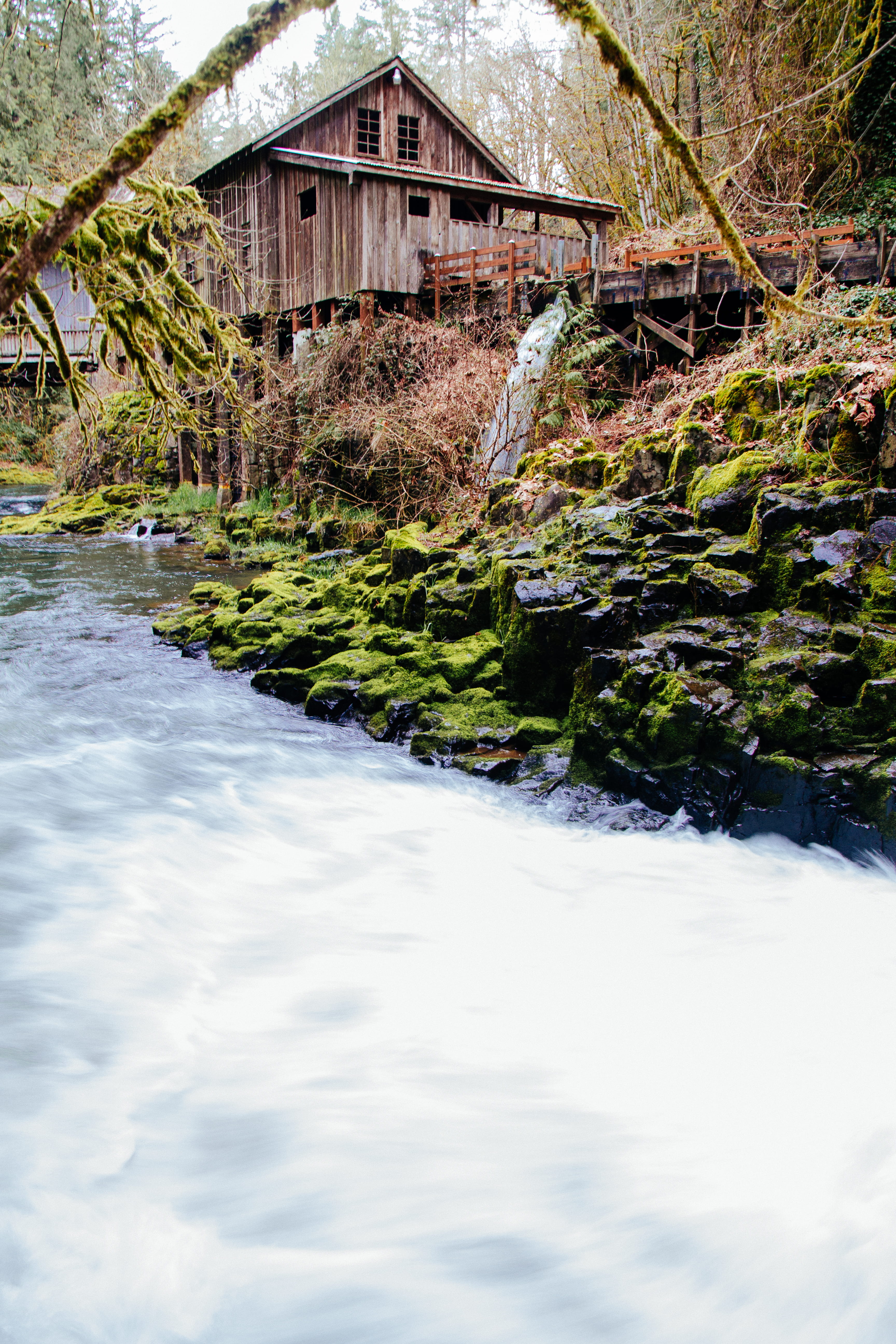 5K, building exterior, woodland, countryside, shack, united states, motion, flowing, nature, stream - flowing water, waterfront, building, washington, Phone HD Wallpaper