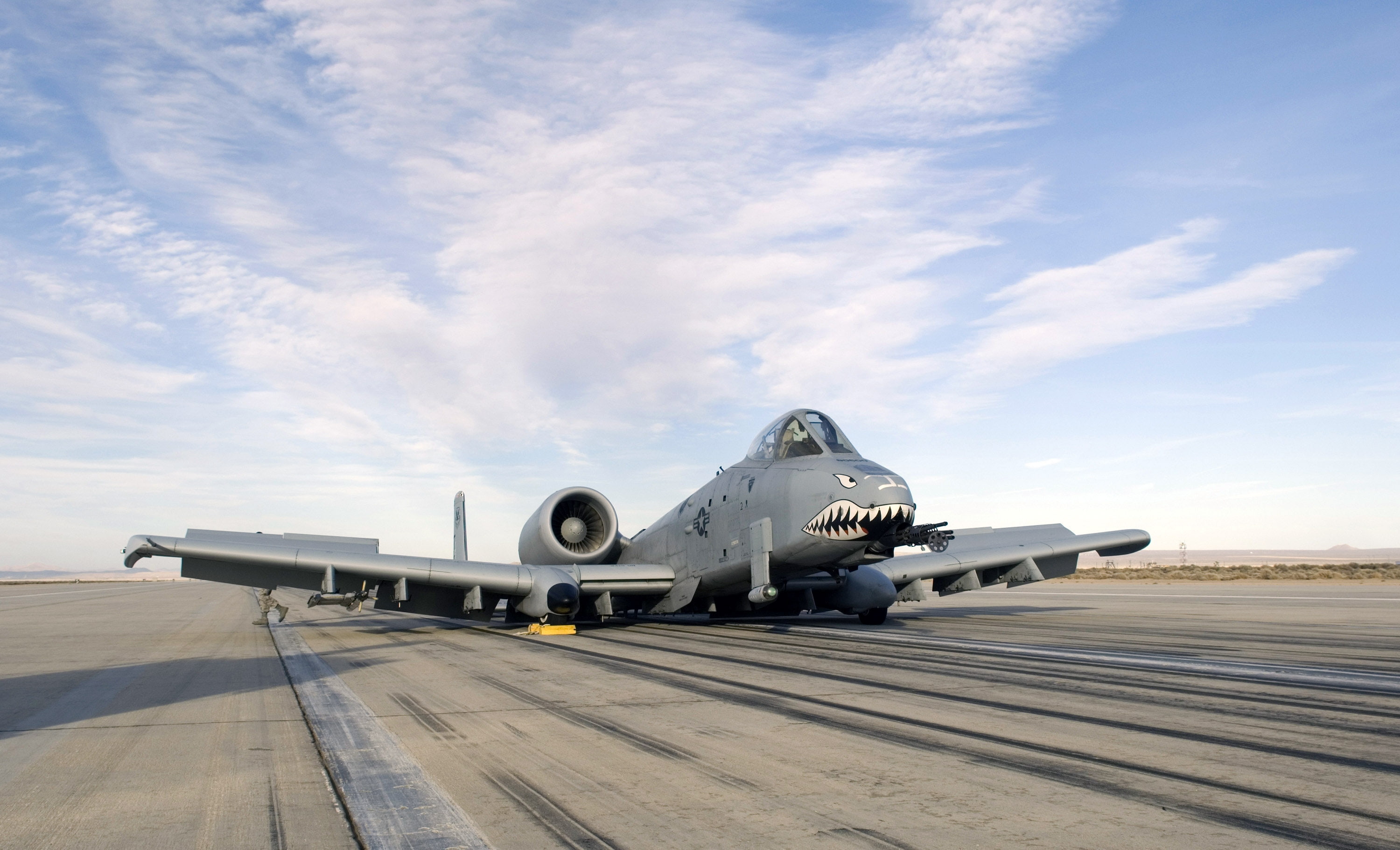aircraft, nose, art, 2K, ii, thunderbolt, warthog, vehicles, Military, hd, HD Wallpaper