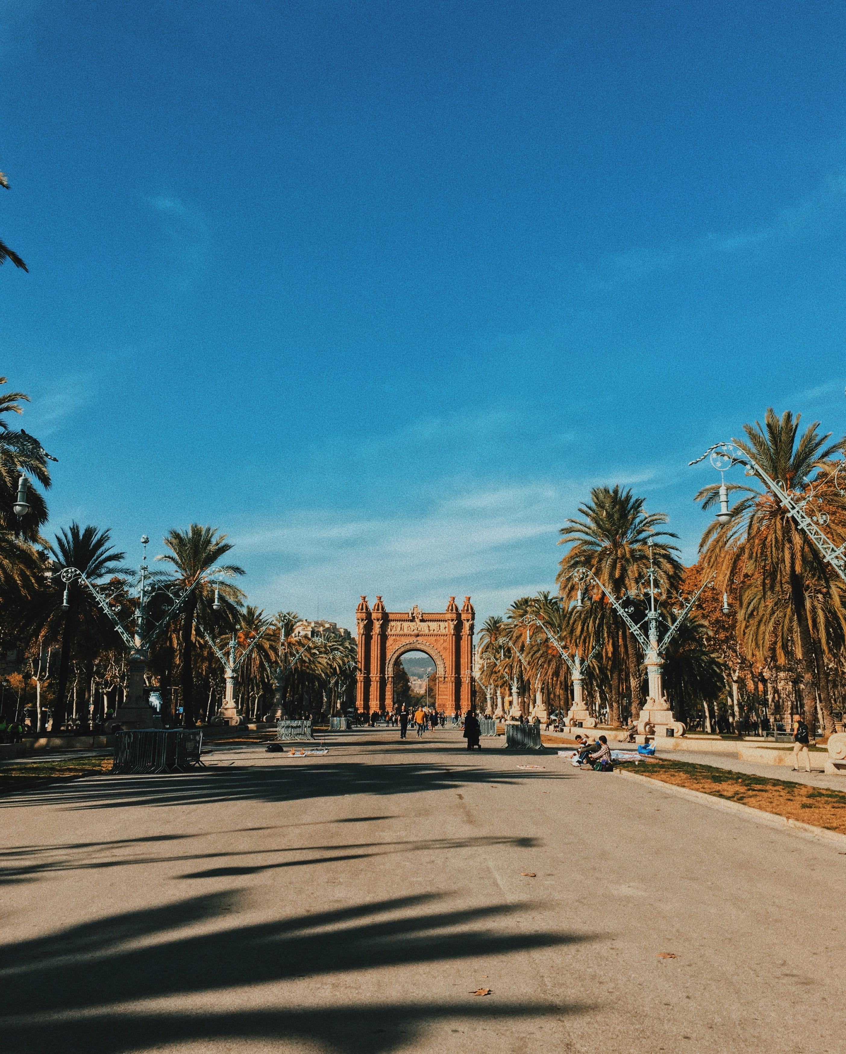travel destinations, tree, architecture, 2K, direction, exploring, history, trip, city, plant, barcelona, the past, sunlight, cityescape, treelined, road, Phone HD Wallpaper