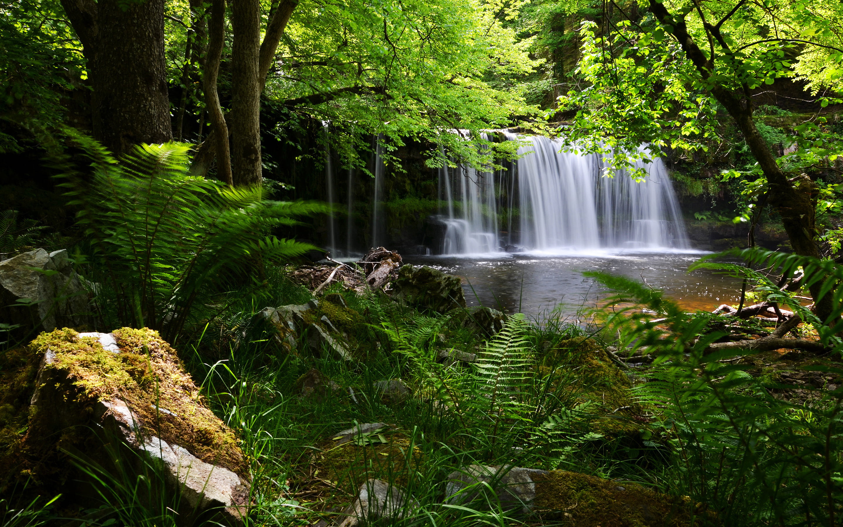 fern, brecon, land, 2K, outdoors, plant, waterfall, scenics - nature, park, flowing water, uk, lush foliage, beacons, tree, water, falling water, england, HD Wallpaper