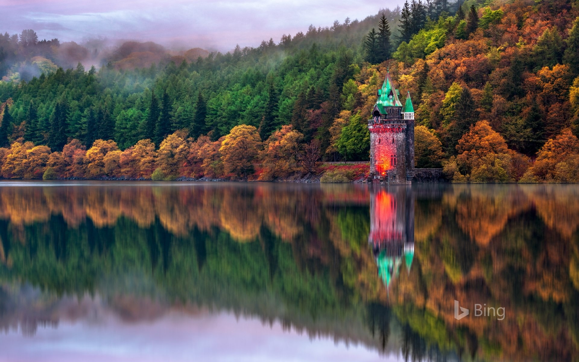 tree, vyrnwy, water, autumn collection, lake, nature, forest, wales, beauty in nature, idyllic, tranquility, bing, autumn, tranquil scene, non-urban scene, HD Wallpaper