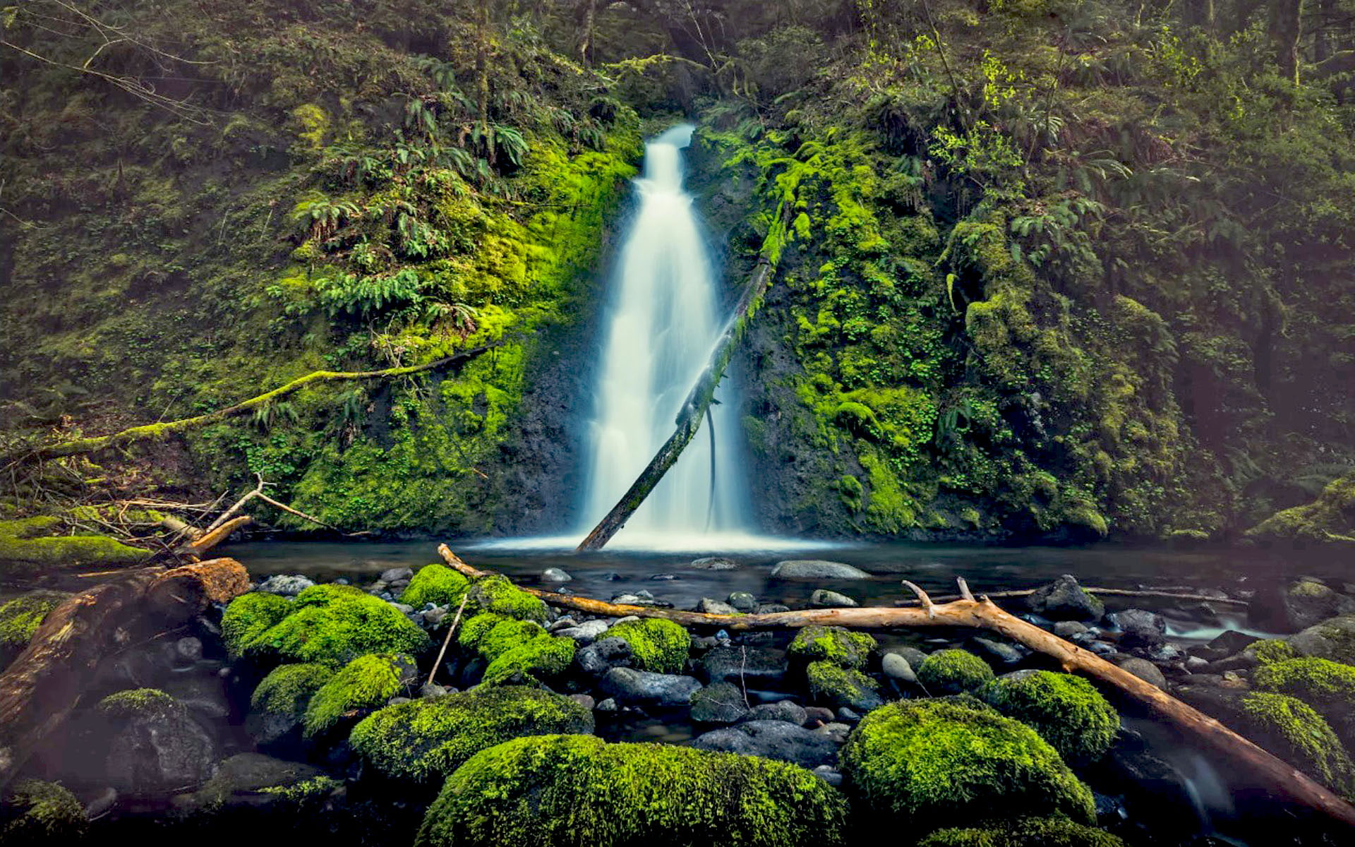 river, creek, county, desktop, us, falls, oregon, state, 1080P, hood, ruckel, hd, HD Wallpaper
