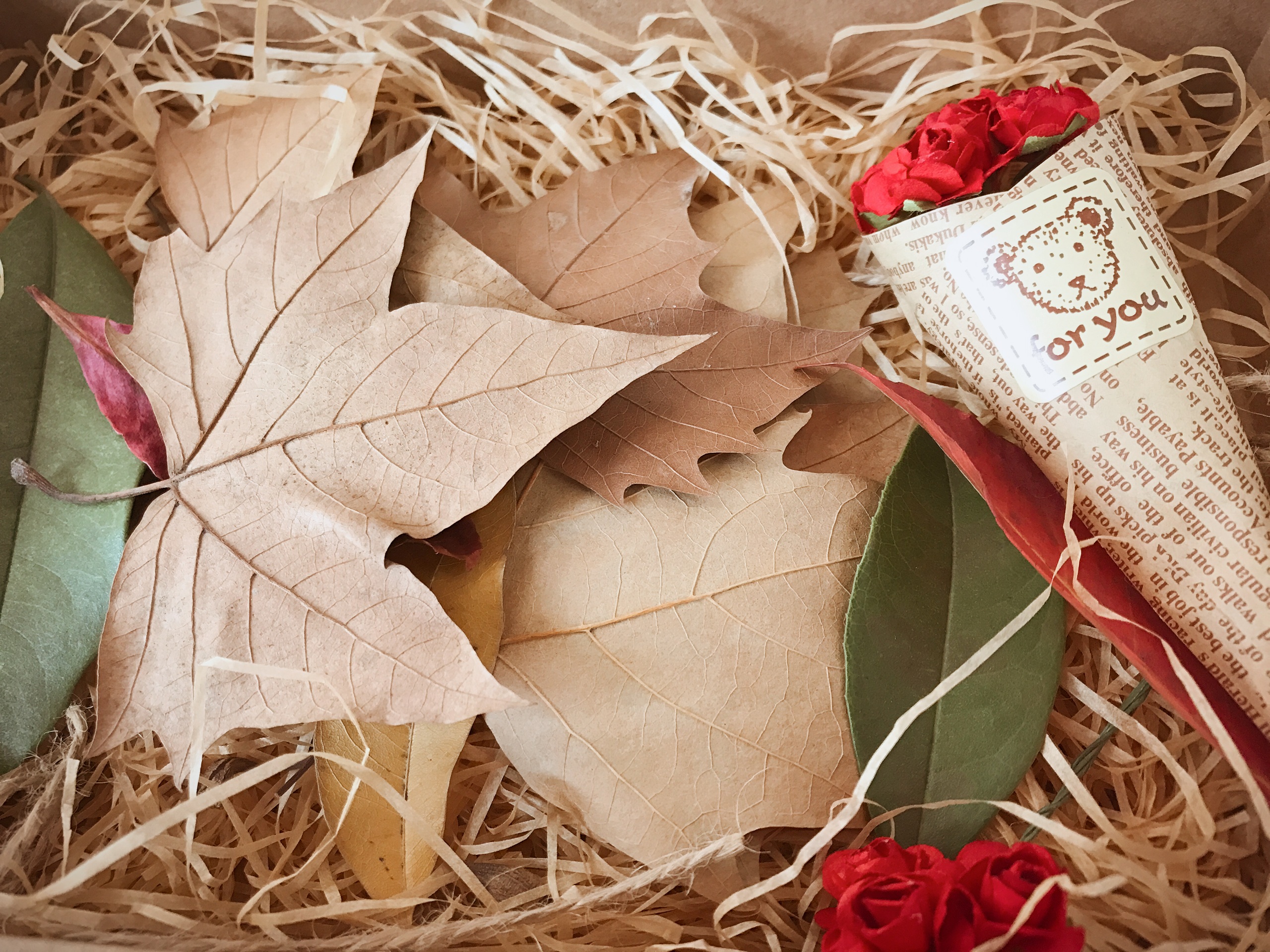 pattern, art and craft, paper, dry, backgrounds, outdoors, change, autumn, dead leaves, high angle view, gift, still life, indus, season, positive emotion, HD Wallpaper