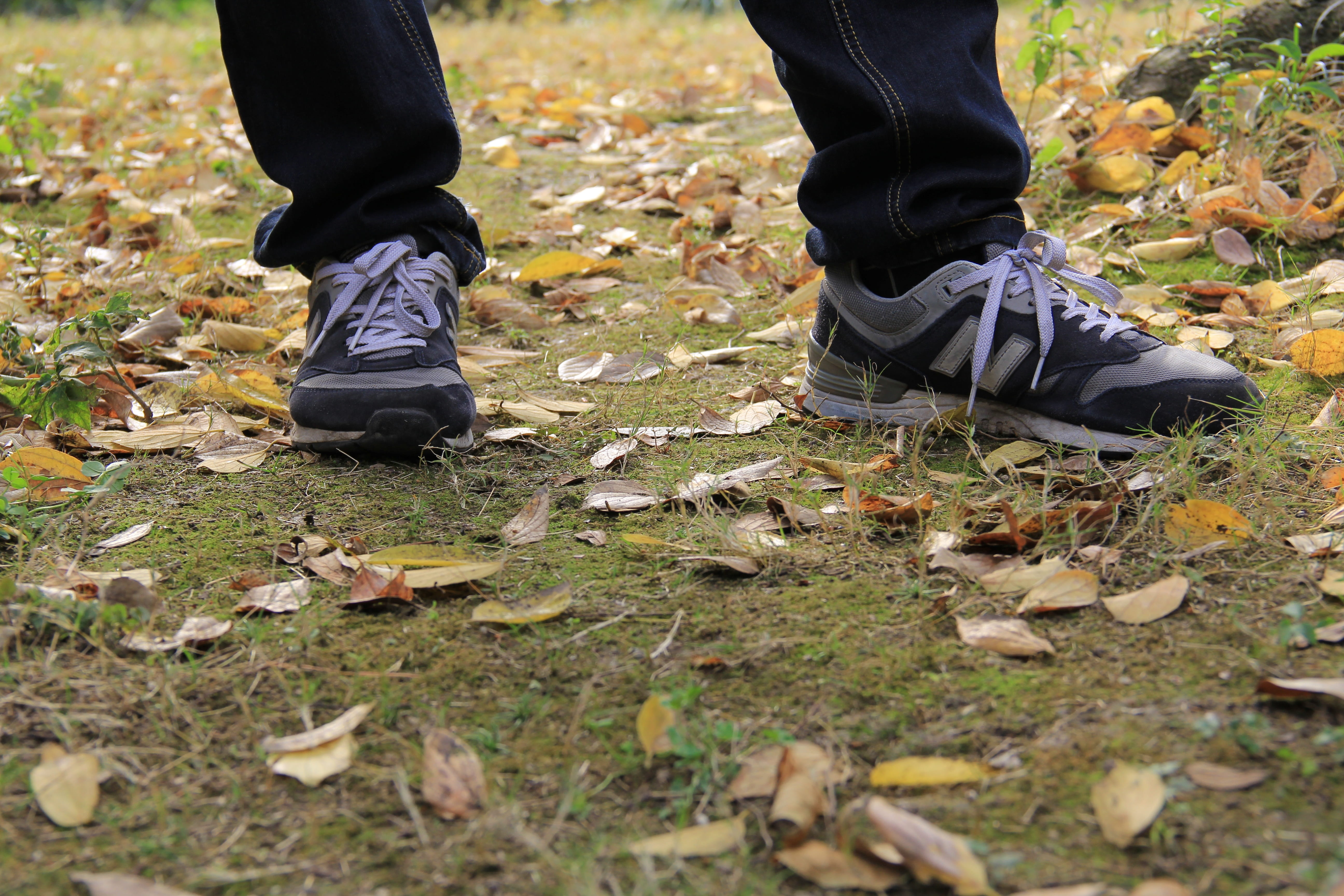 jeans, leisure activity, one Person, standing, New Balance, human Leg, footpath, plant part, Grass, walking, lifestyles, Defoliation, leaf, day, low section, HD Wallpaper