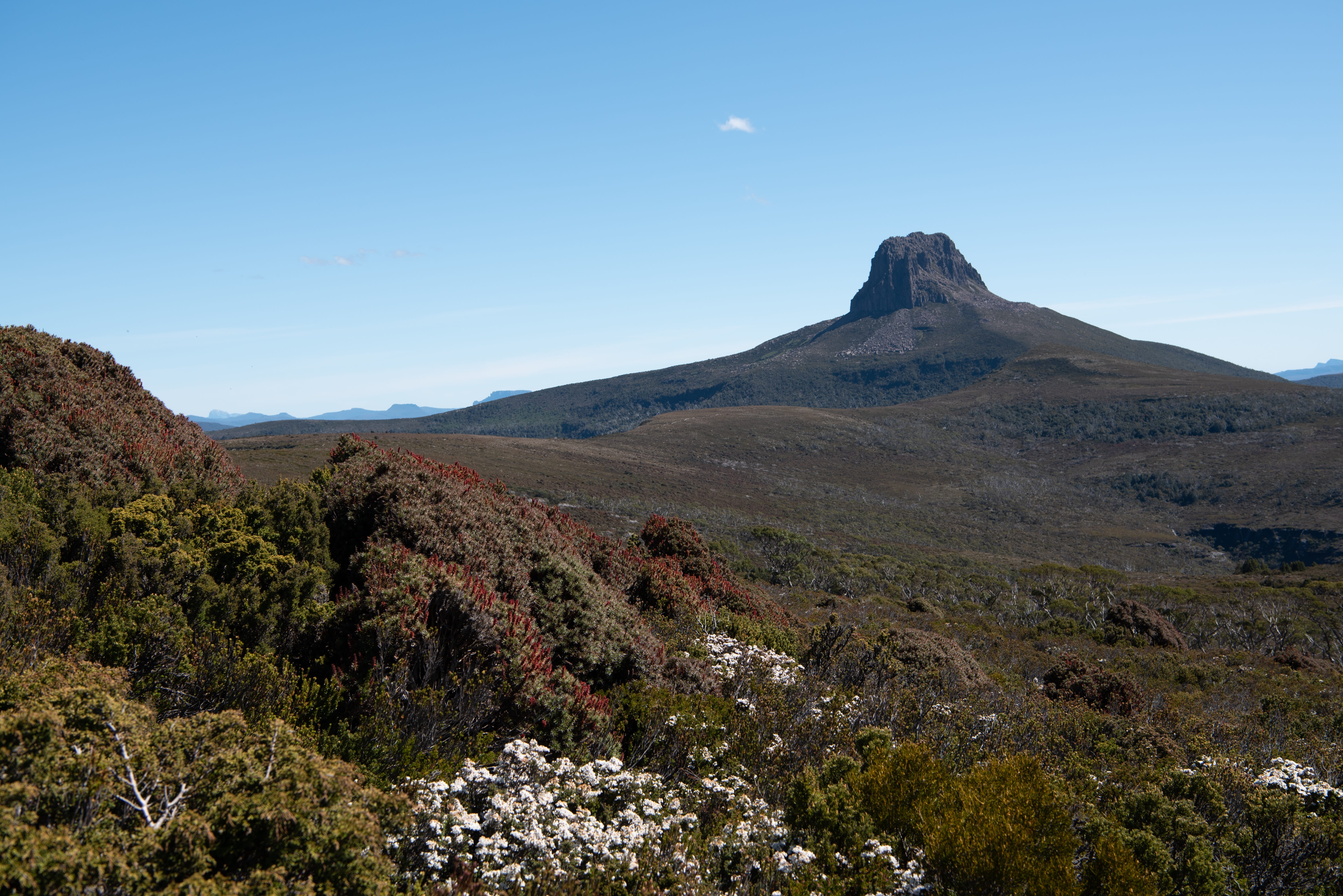 cradle mountain national park, clear sky, beauty in nature, 5K, plant, scenics - nature, overland track, remote, mountain peak, scenic, tranquility, barn bluff, HD Wallpaper