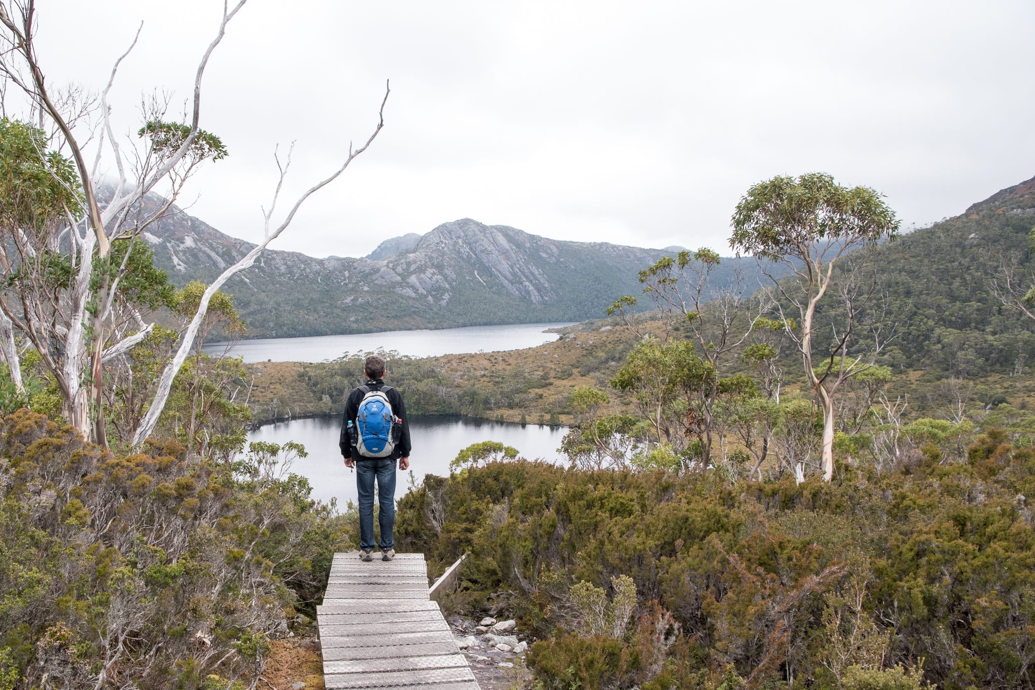 plant, tranquil scene, mountain, one person, walking, scenics - nature, 1080P, Cradle Mountain, rear view, lake lilla, sky, tasmania, lake, getting away from it all, HD Wallpaper