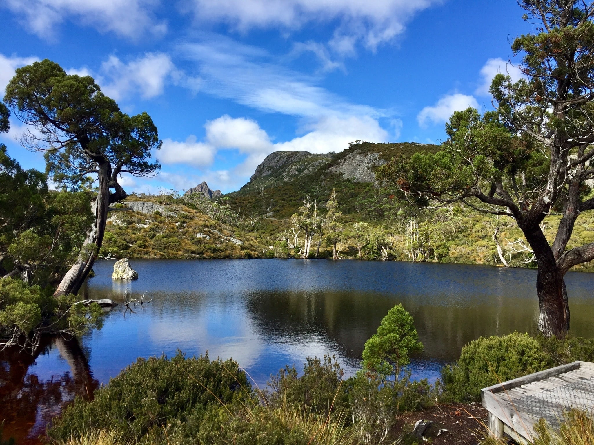 view, clouds, water, natural, landscape, cradle mountain, idyllic, day, forest, green color, mountains, water edge, no people, cloud - sky, growth, mountain, HD Wallpaper