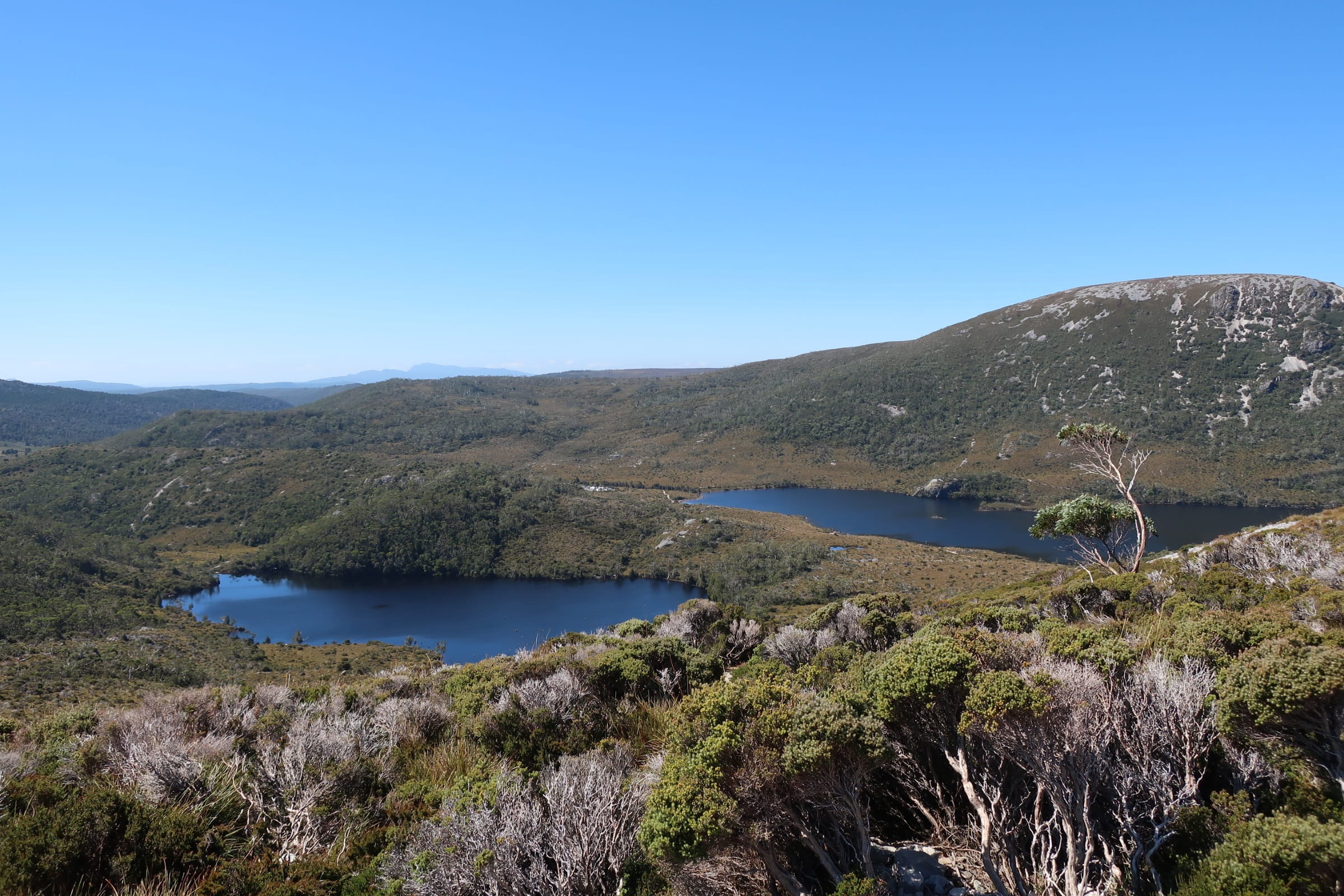 no people, travel, Tasmania, outdoors, lookout, scenic, mountain range, mountain, cradle, lake, tree, Cradle Mountain, cradle-mountain, scenics, tranquil scene, HD Wallpaper